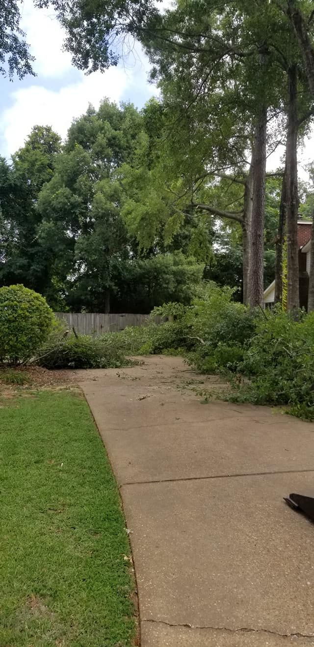  for DNA Tree Service in Birmingham, AL