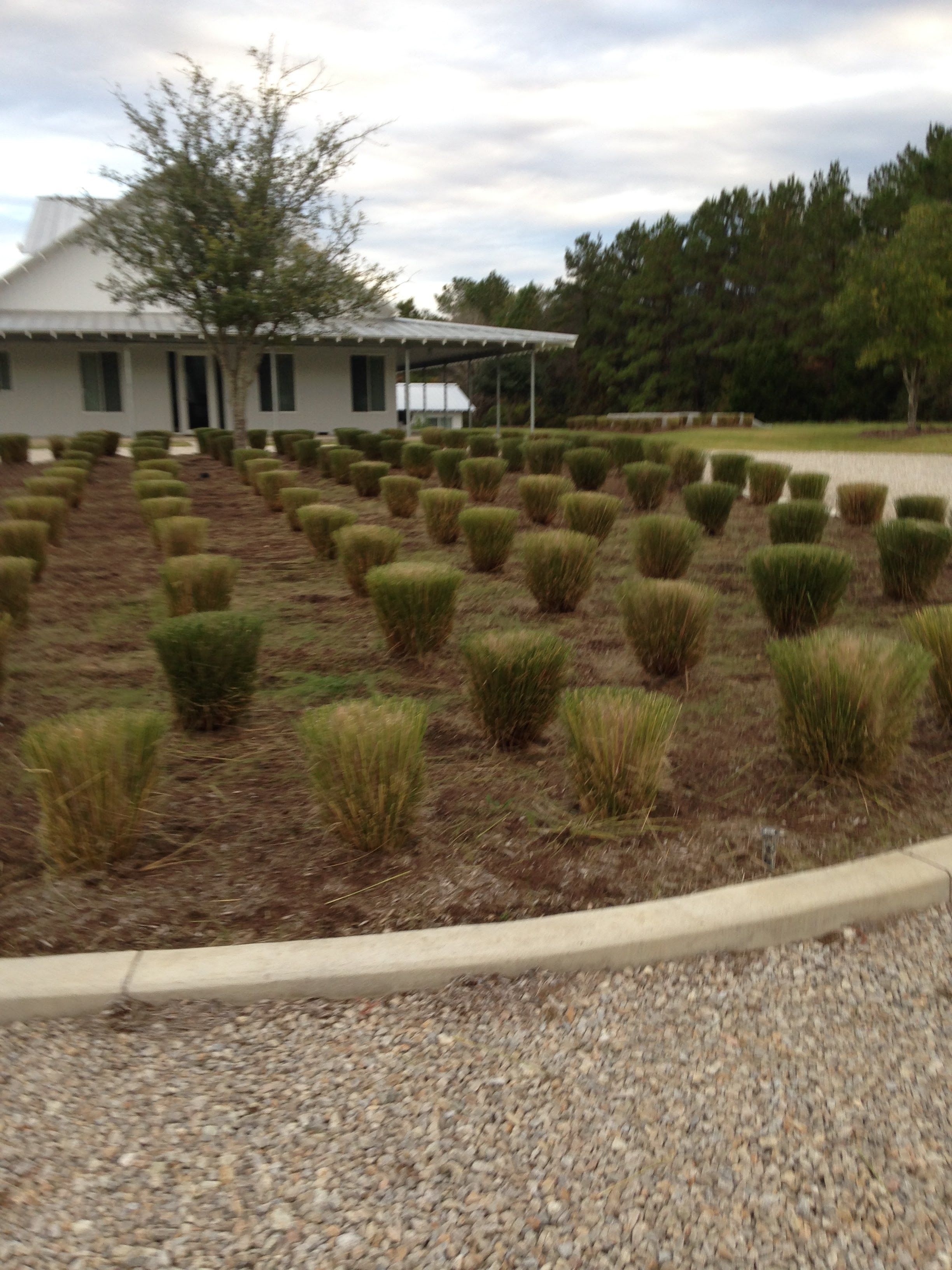 All Photos for Atlas Land Design in Creekside Park, TX