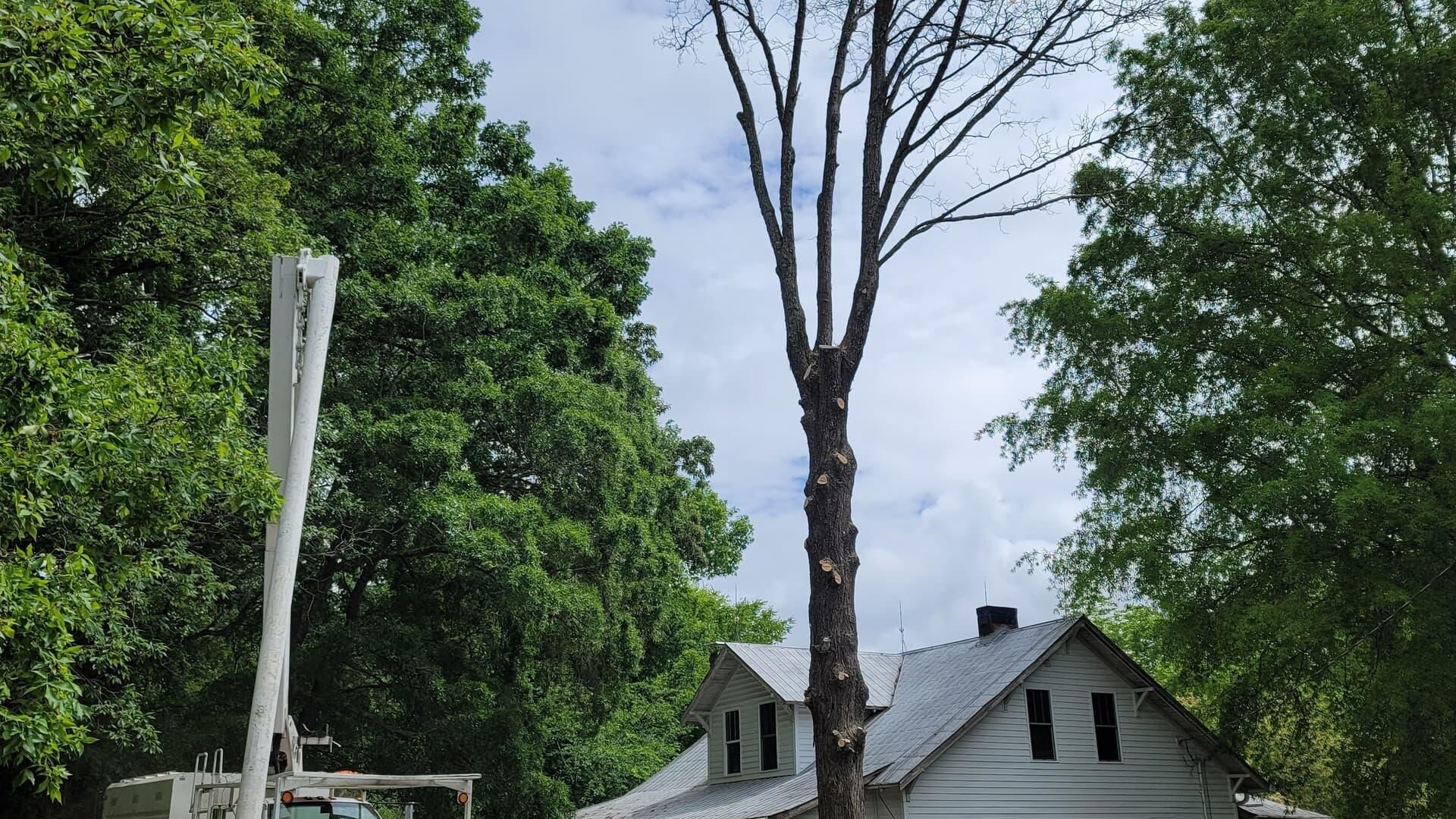  for Platinum Outdoor Services LLC in Conover, NC