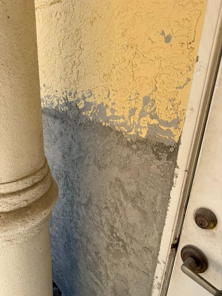  for Escorpio Painting in Tampa, FL