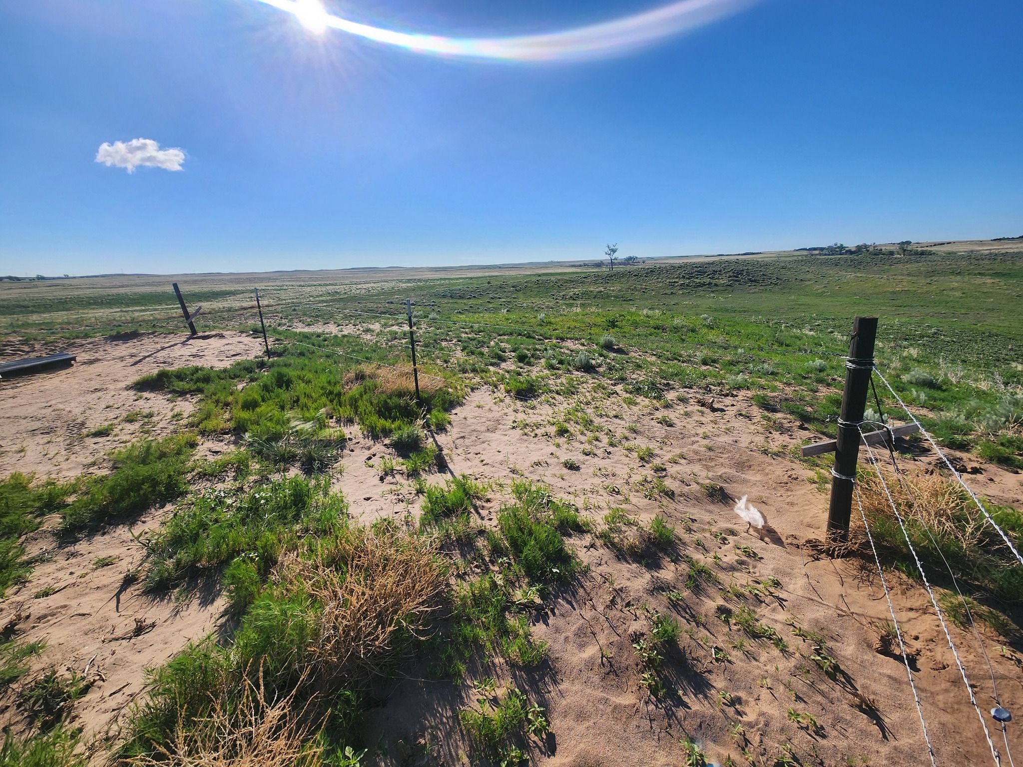 All Photos for M&N Fencing in Northeast Colorado, CO