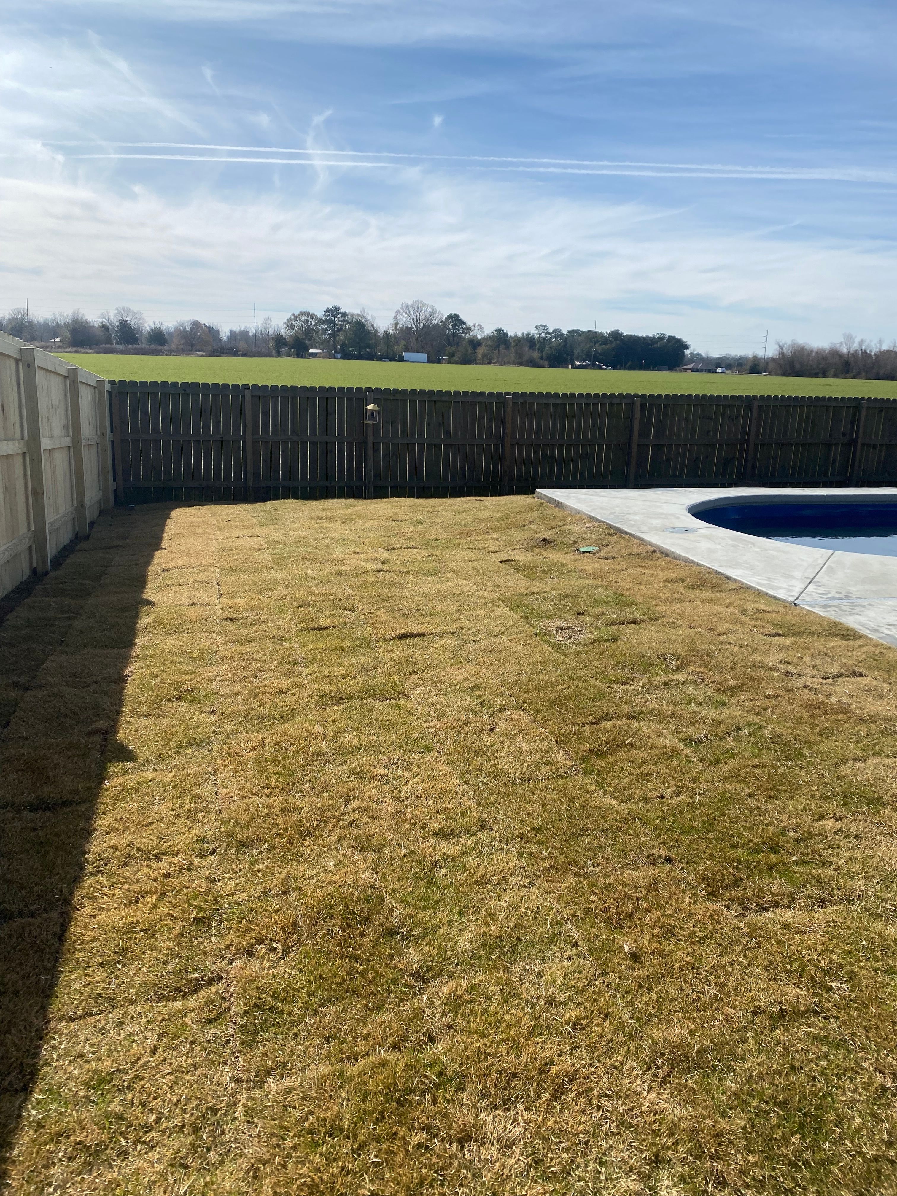  for Grasshopper's Lawn and Landscape in Fairhope, AL