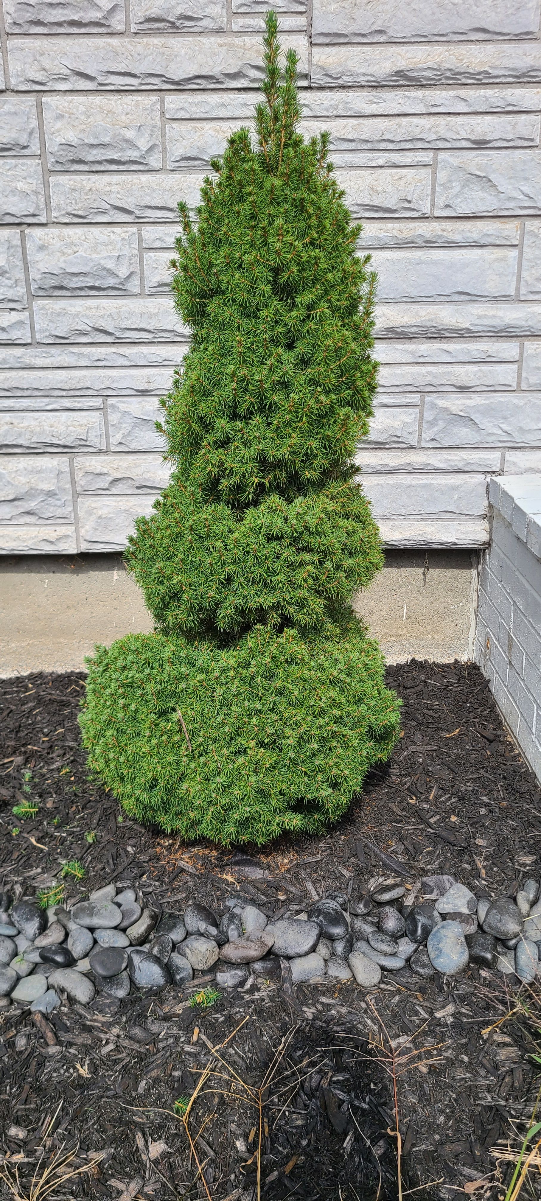  for RK Outdoor Services in Weare, NH