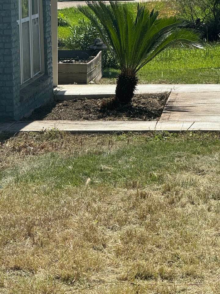 All Photos for Gulf-Tex Lawn Care in Baytown, TX
