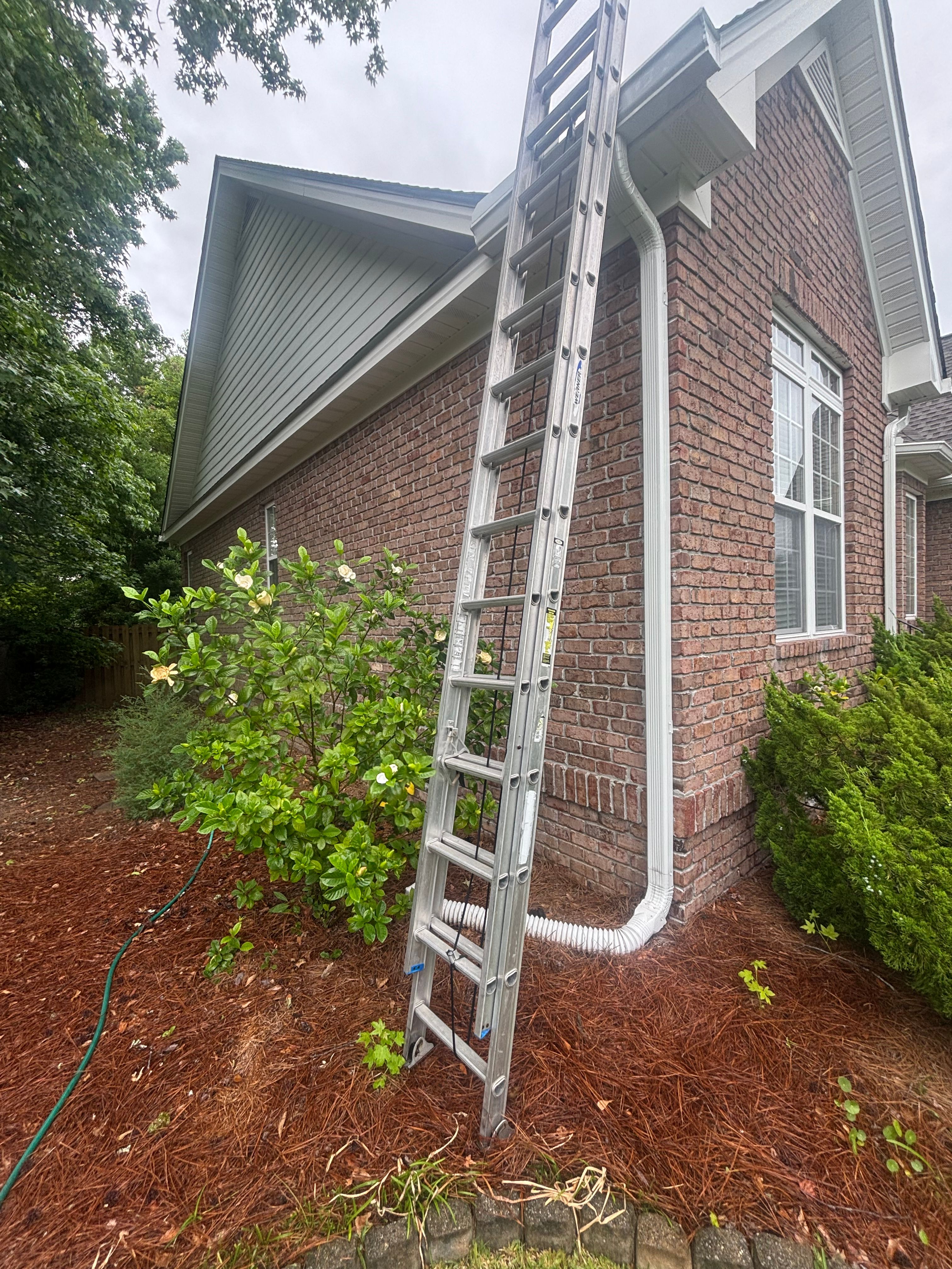  for Living Stream Pressure Washing in Wilmington, NC