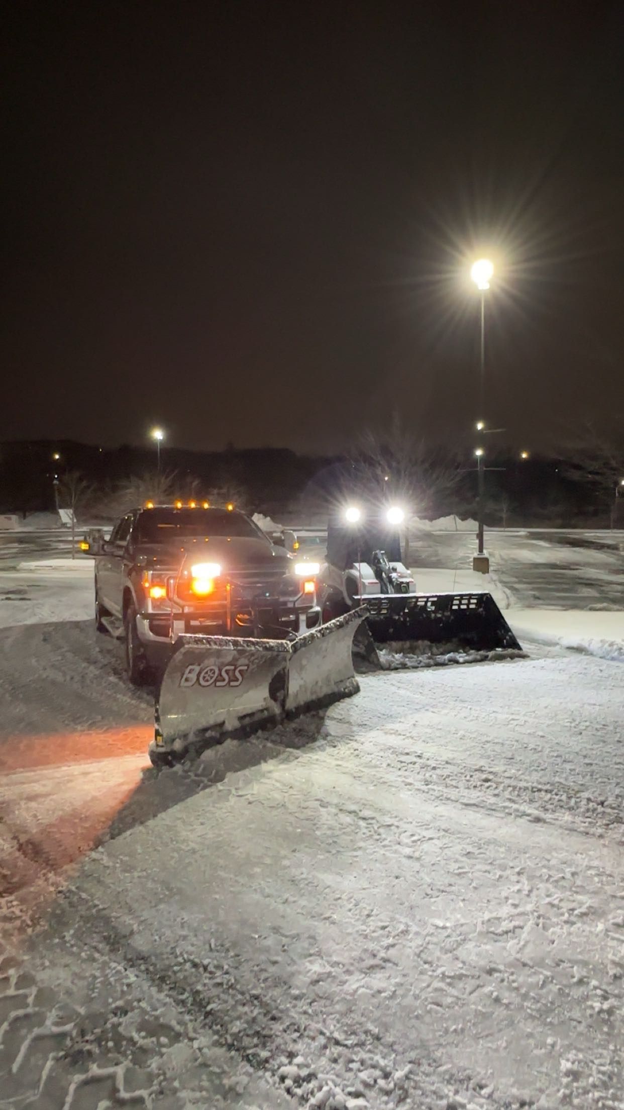  for Powell Tree Service Inc. in Cape Cod, MA