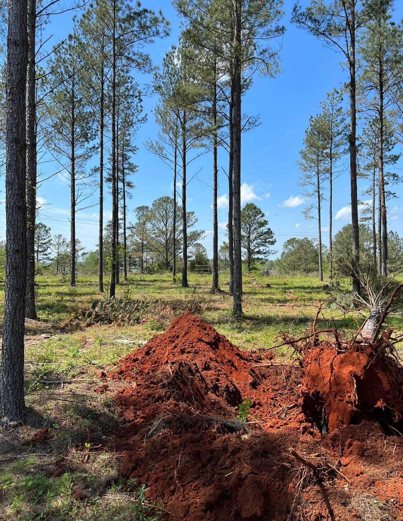 Clearing&Grading  for ABW Property Professionals in Hope Mills, NC