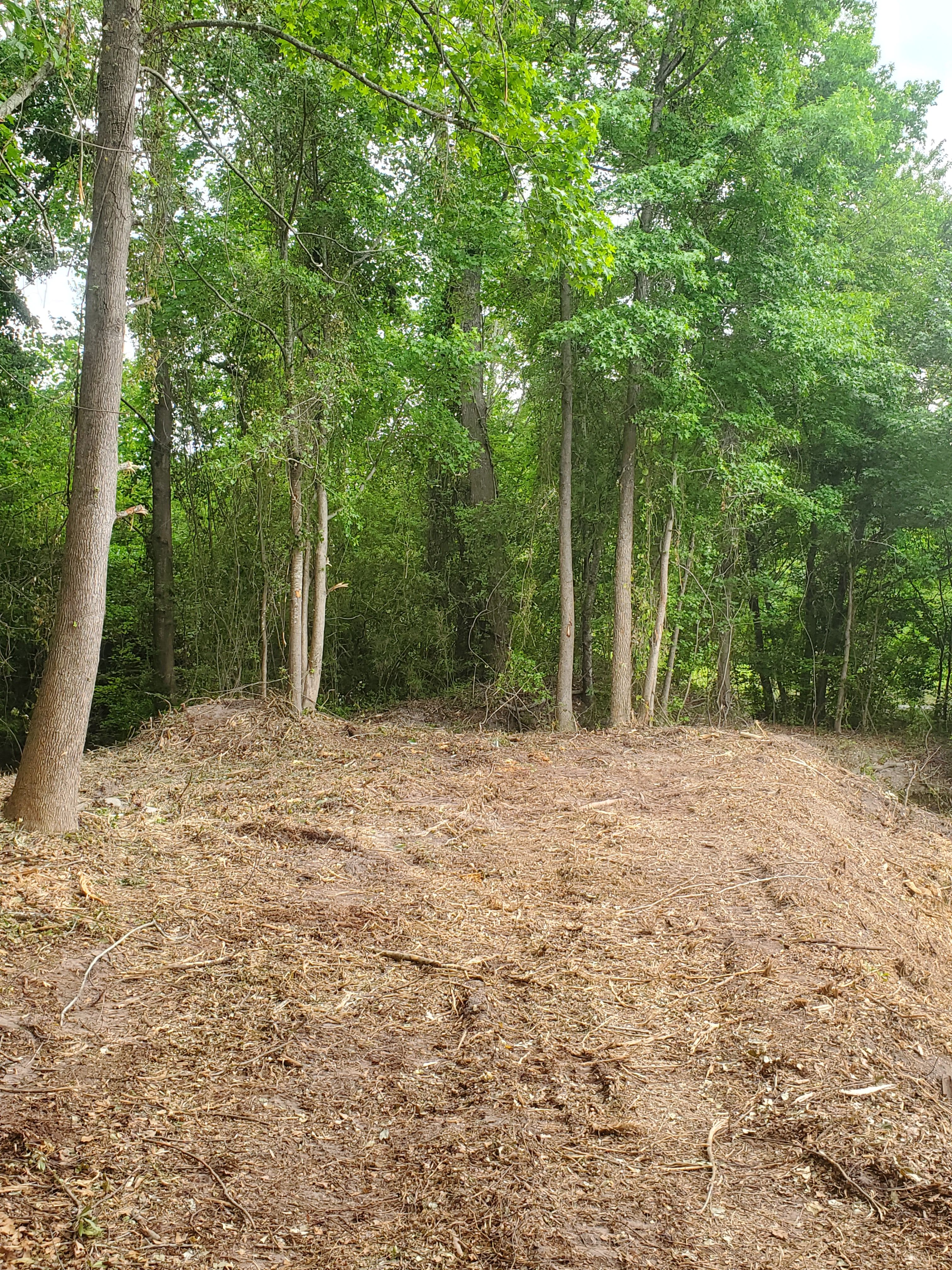 All Photos for TJ Farm and Land Management in Loris, SC