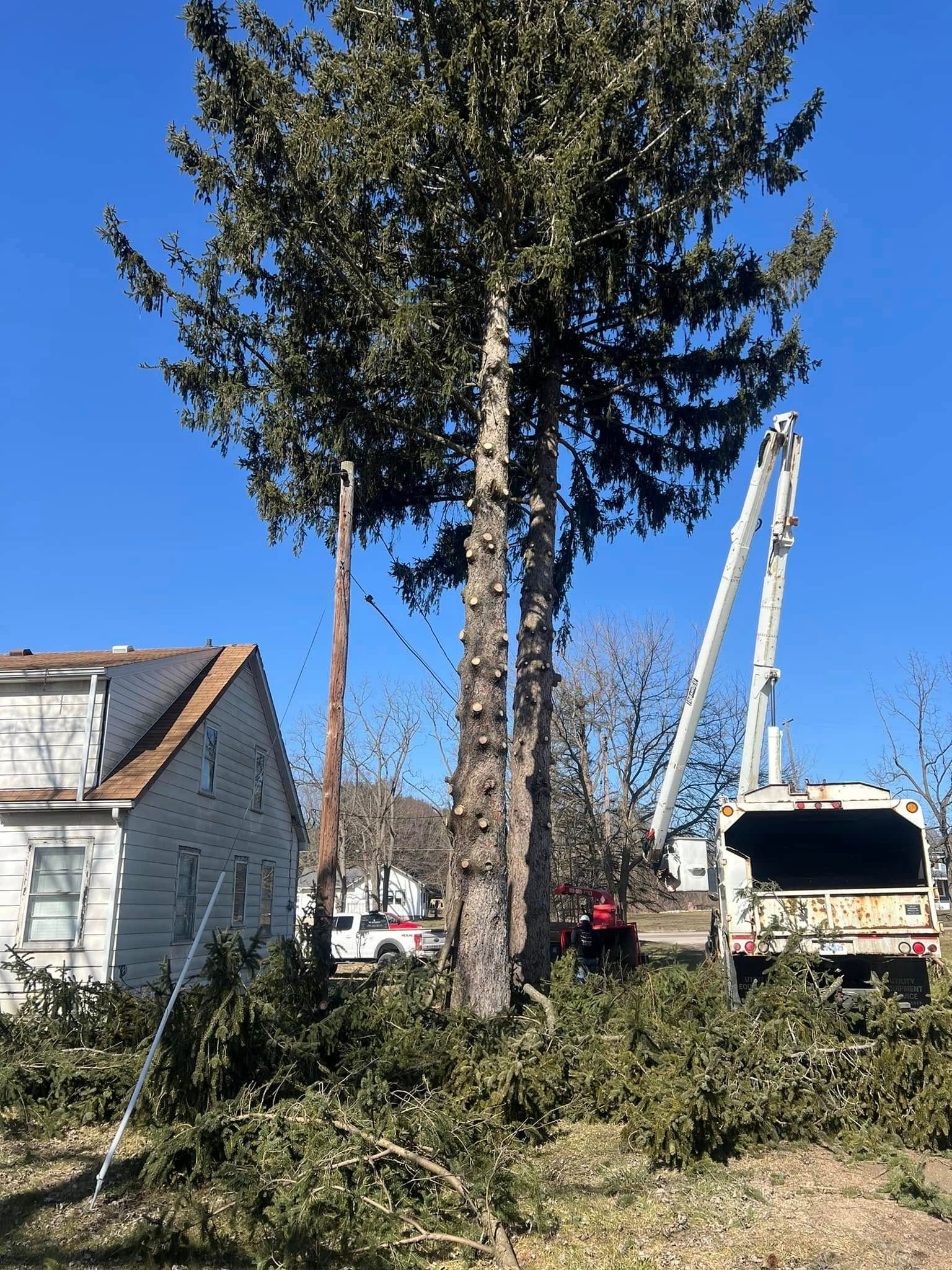  for The Bucking Arborists in Flint, MI