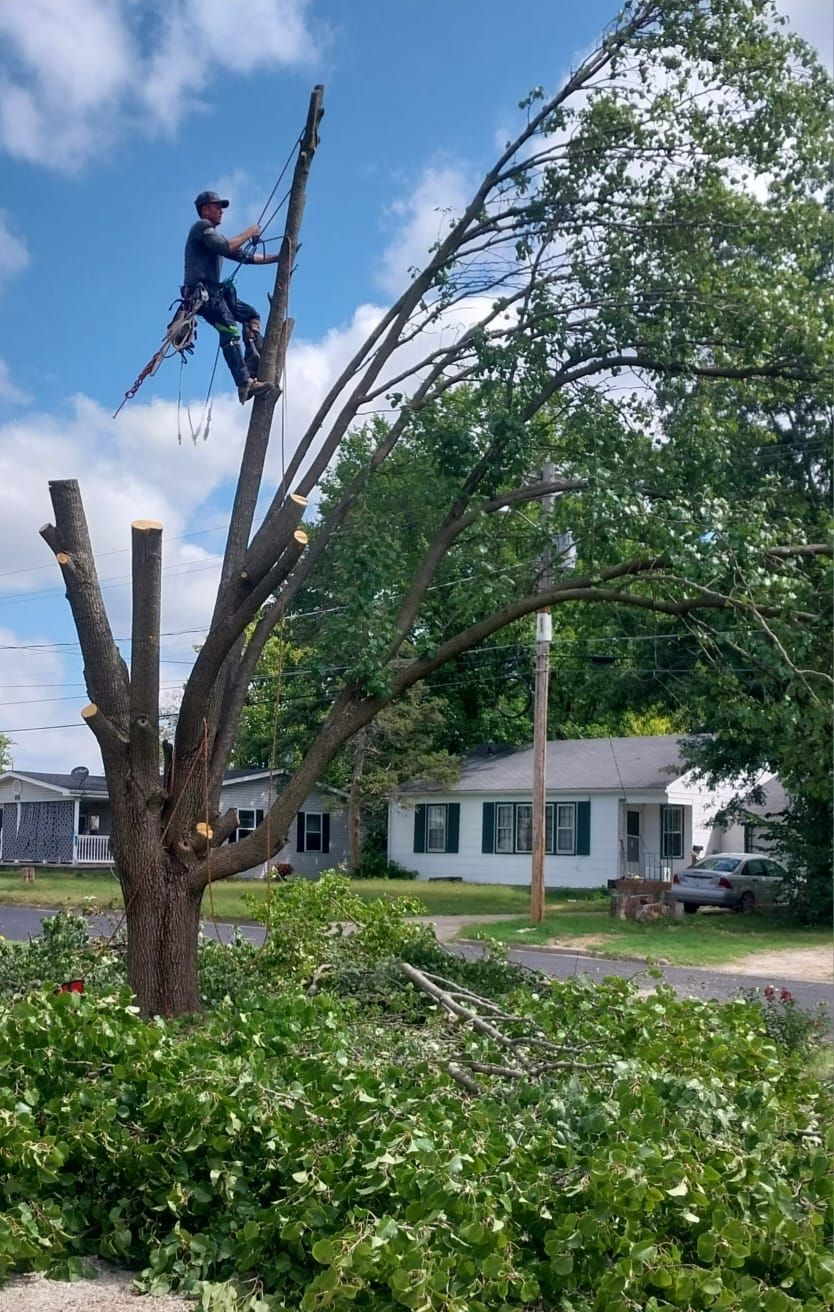  for Sky High Tree Service in Columbia, MO