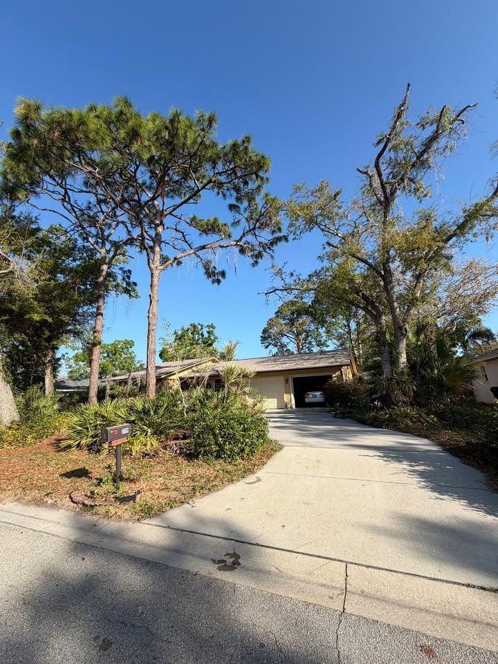  for Damian’s Tree Care in Sarasota, FL