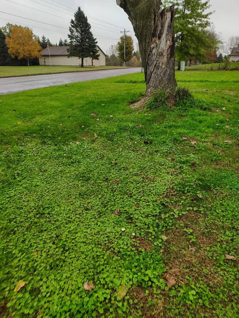 All Photos for Big River lawn Care services and snow LLC in Wausau, WI