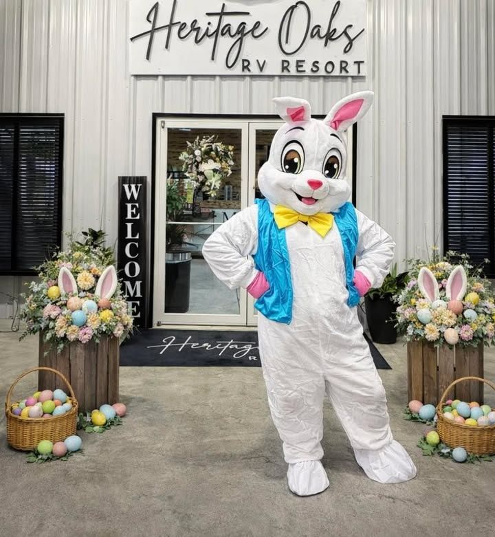 All Photos for Heritage Oaks RV Resort in Wellborn, FL