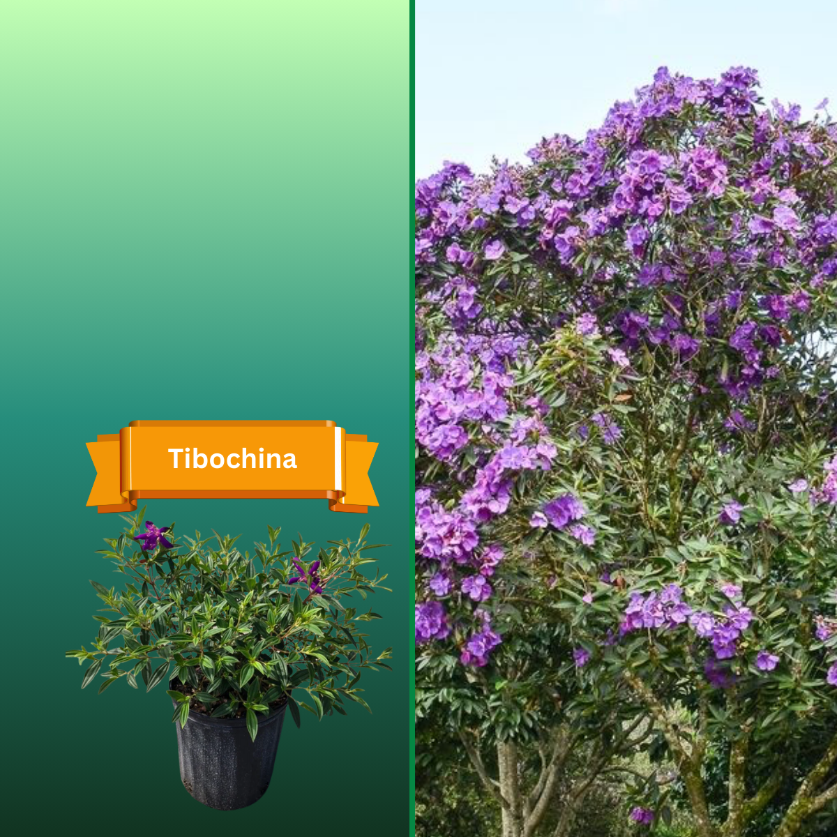  for R.B. & Company in Belleview, FL