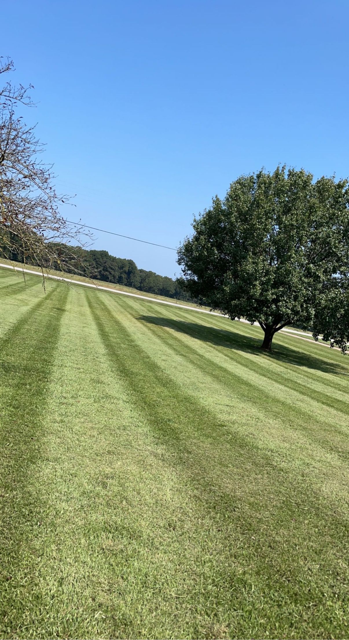  for Peach State Landscaping in Hartwell, GA