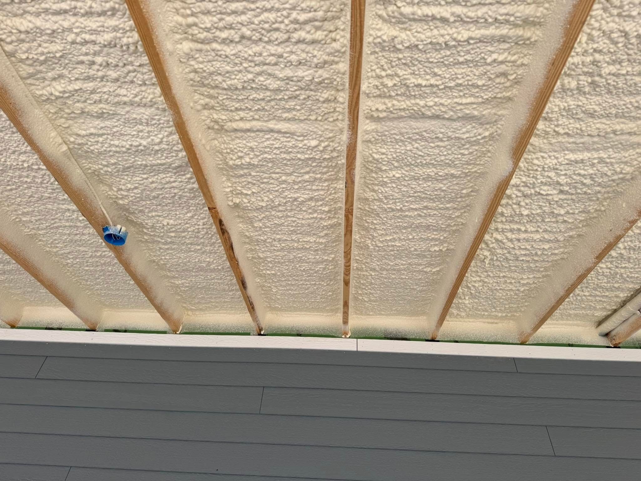  for Wahl to Wahl Spray Foam in Chauncey, GA