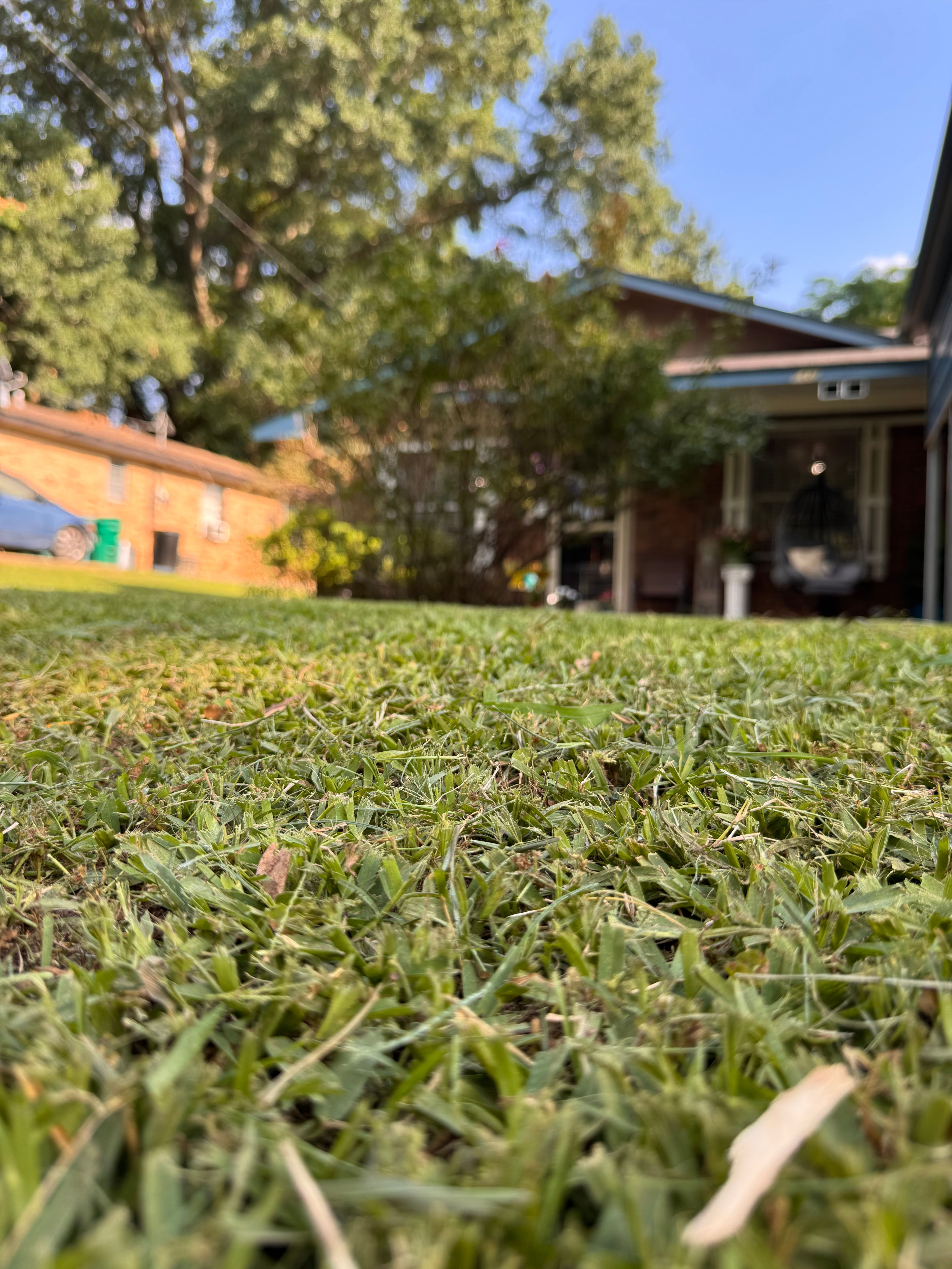 All Photos for Avery’s Lawn Care in Monroe, LA
