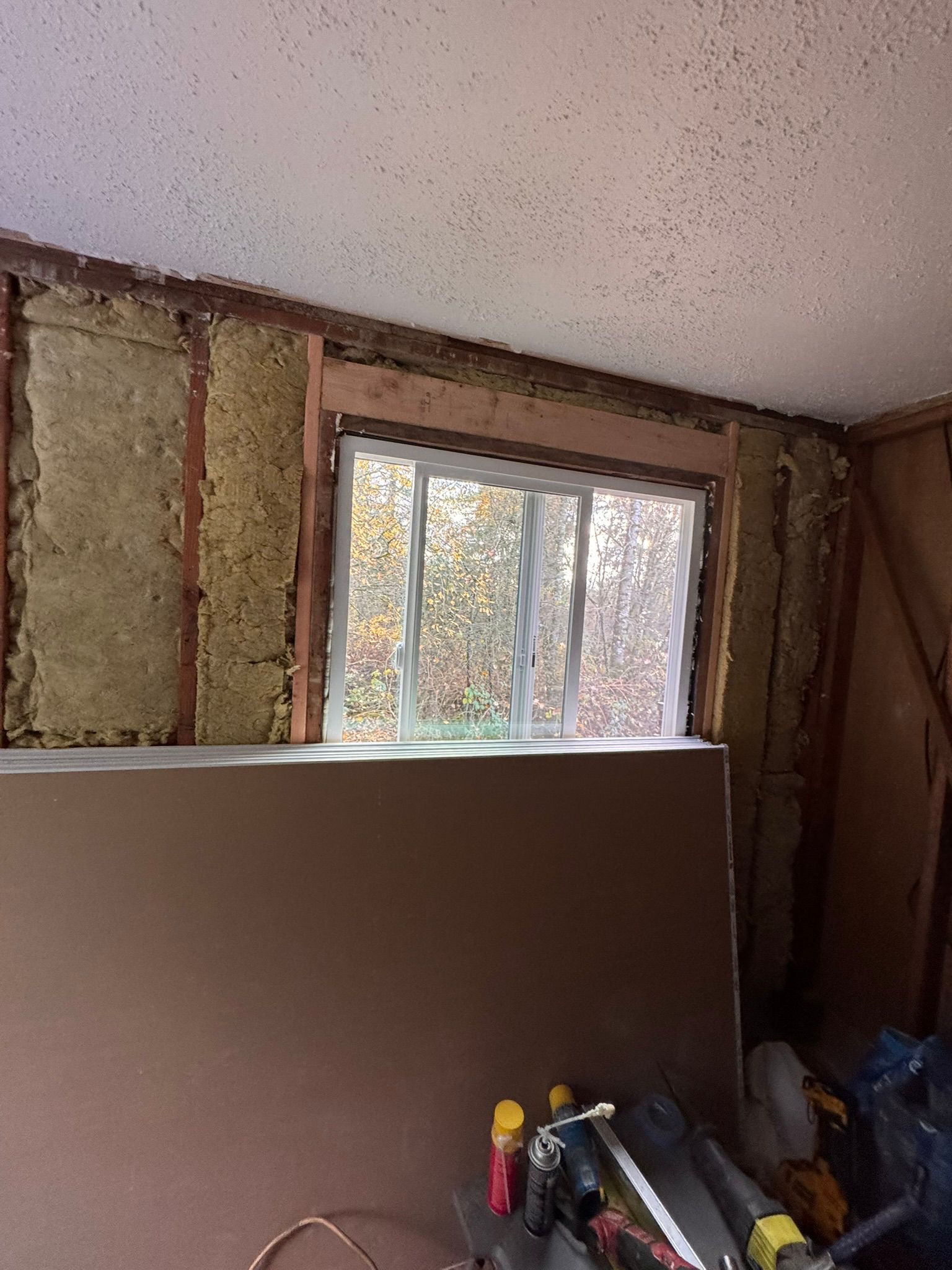  for Tony's Remodeling & Painting in Renton, WA