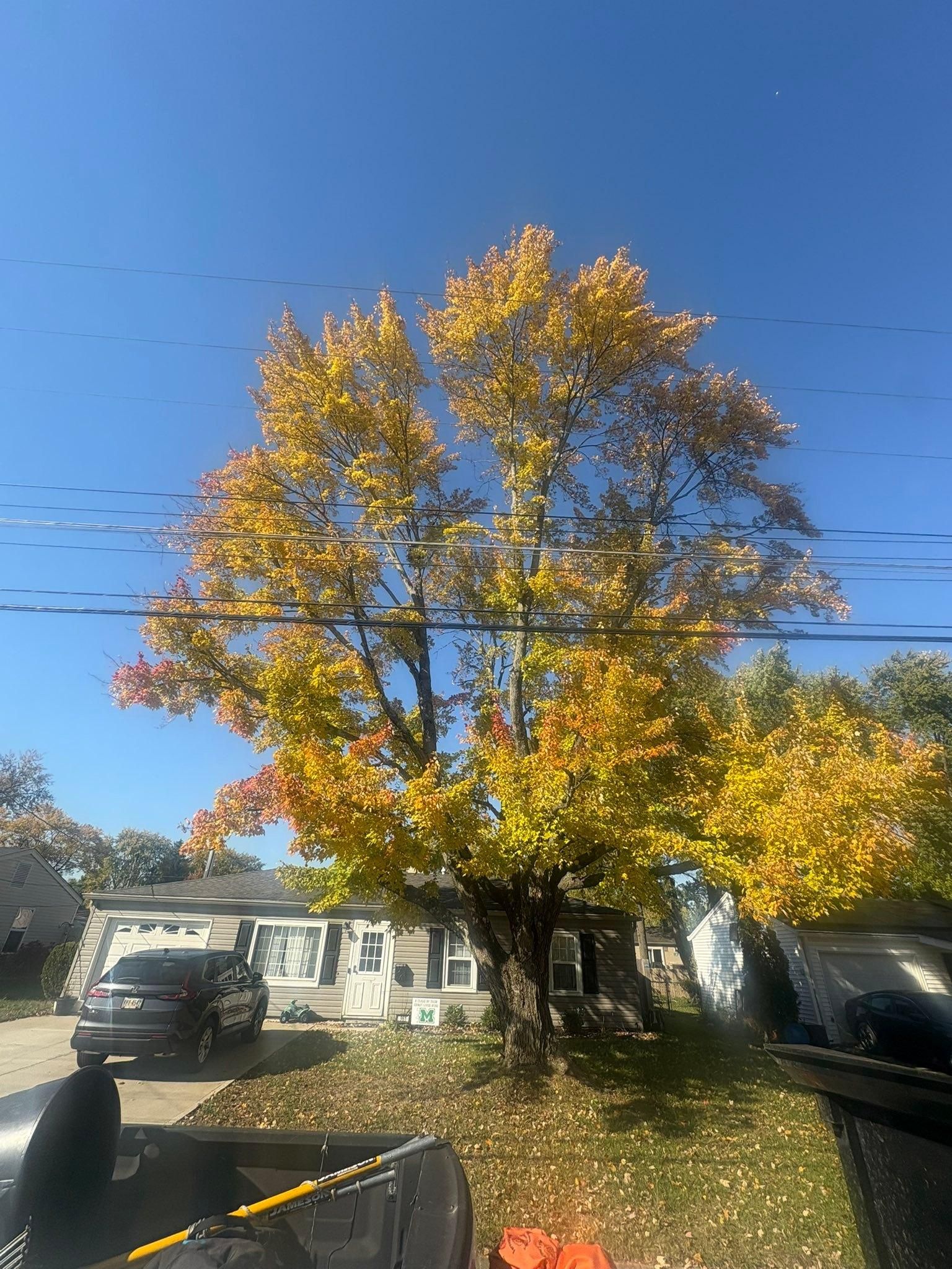  for Dig-It Tree Company in Mason, OH