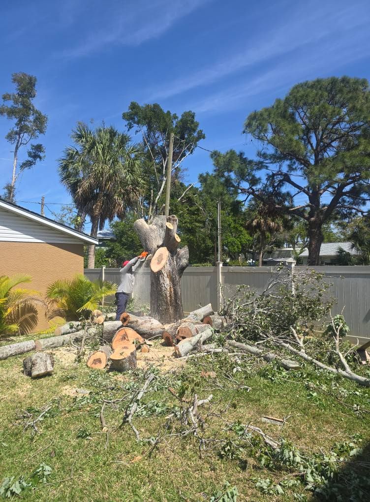  for Sanchez Tree Service in Largo, FL