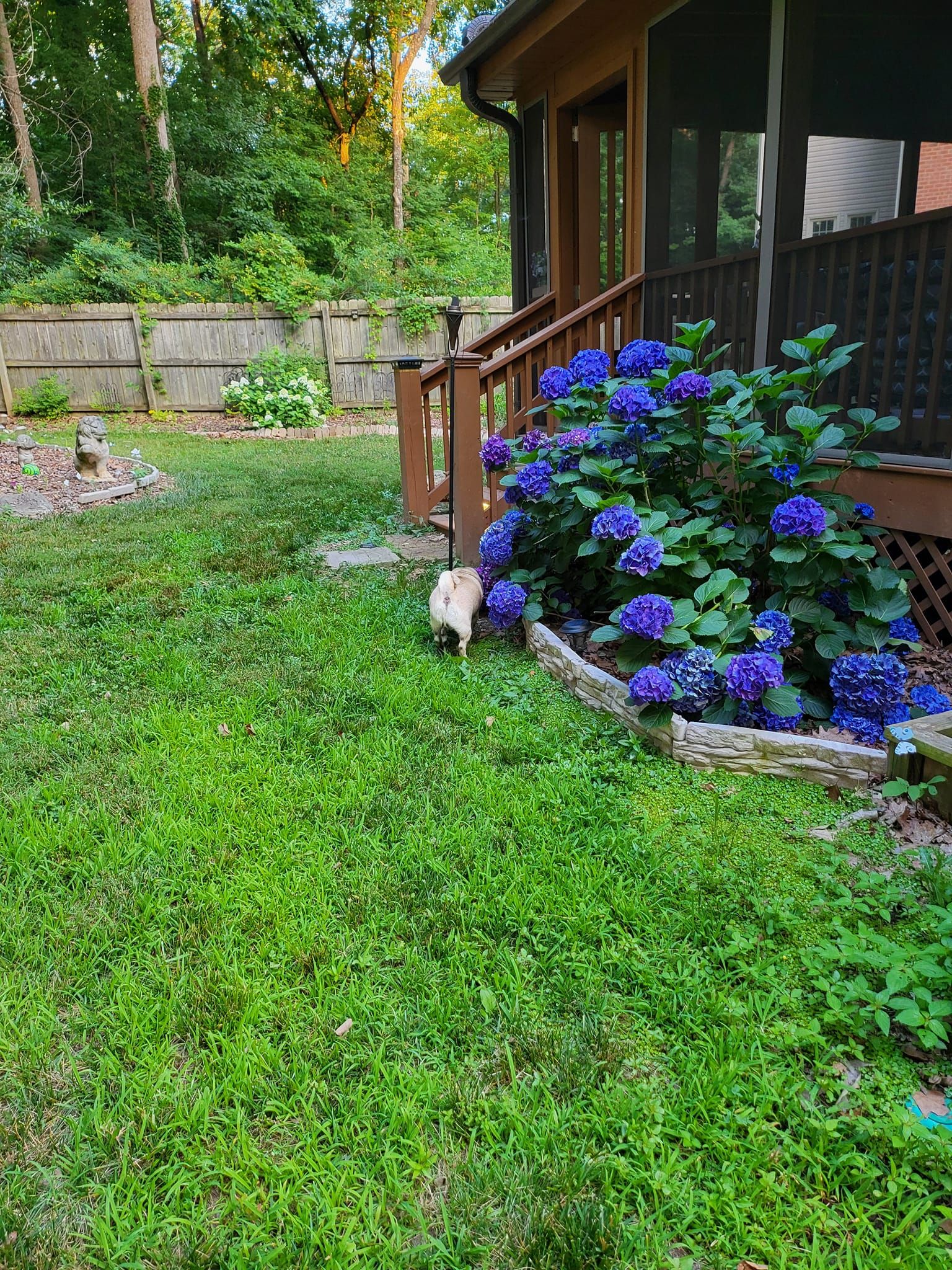  for Fields Lawn Care in Appomattox, VA