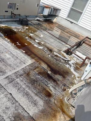 All Photos for Park Place Property Maintenance in Essex County, NJ