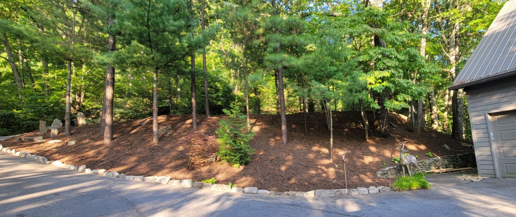  for C4 TrueVision Renovations in Asheville, NC