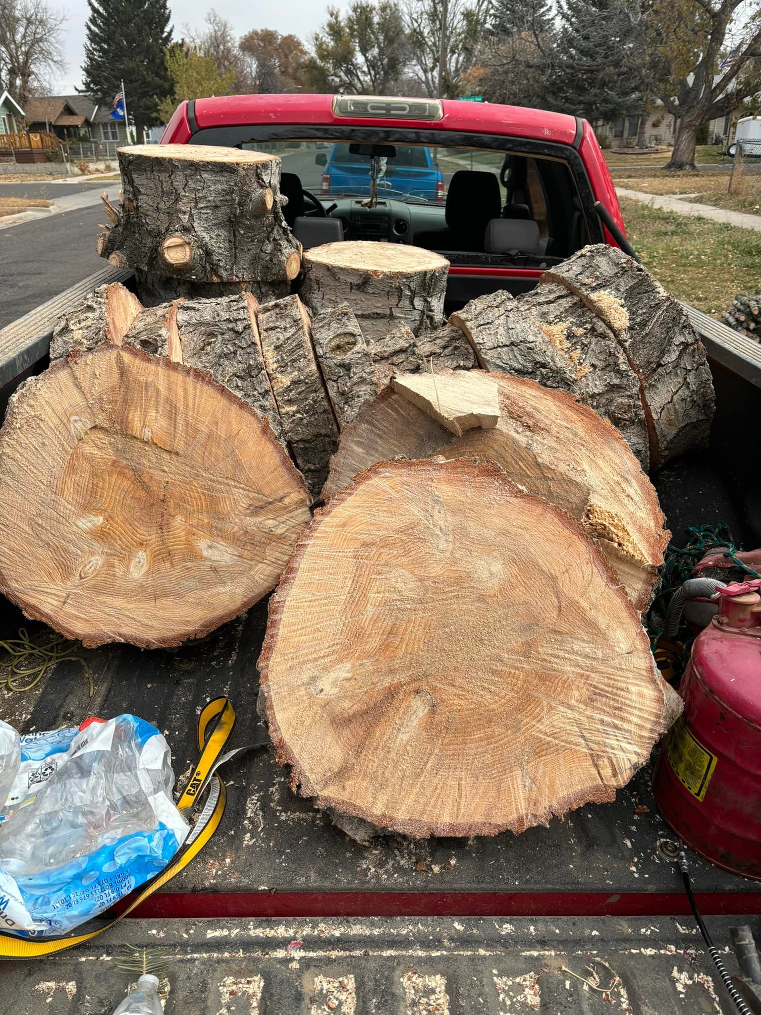 Tree Removal for Graham’s Tree Services in Pierce, CO