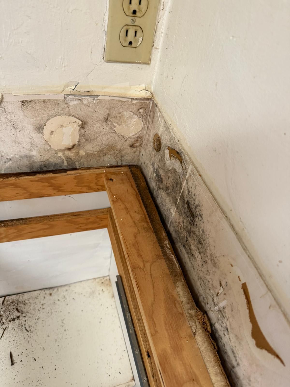  for N&D Restoration Services When Disaster Strikes, We Come In in Cape Coral,  FL