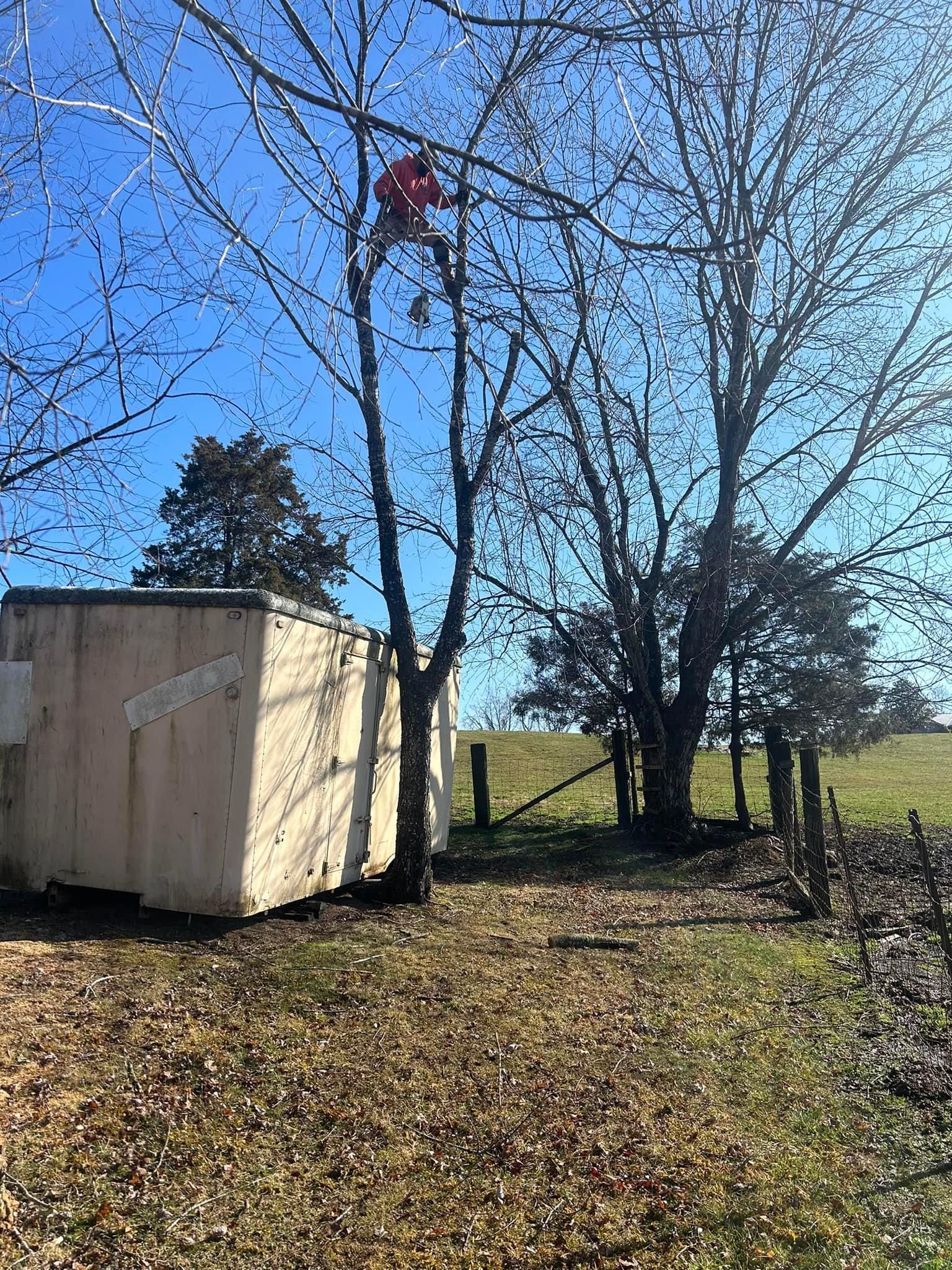 Tree Removal for Atwood’s Tree Care in Liberty,  KY