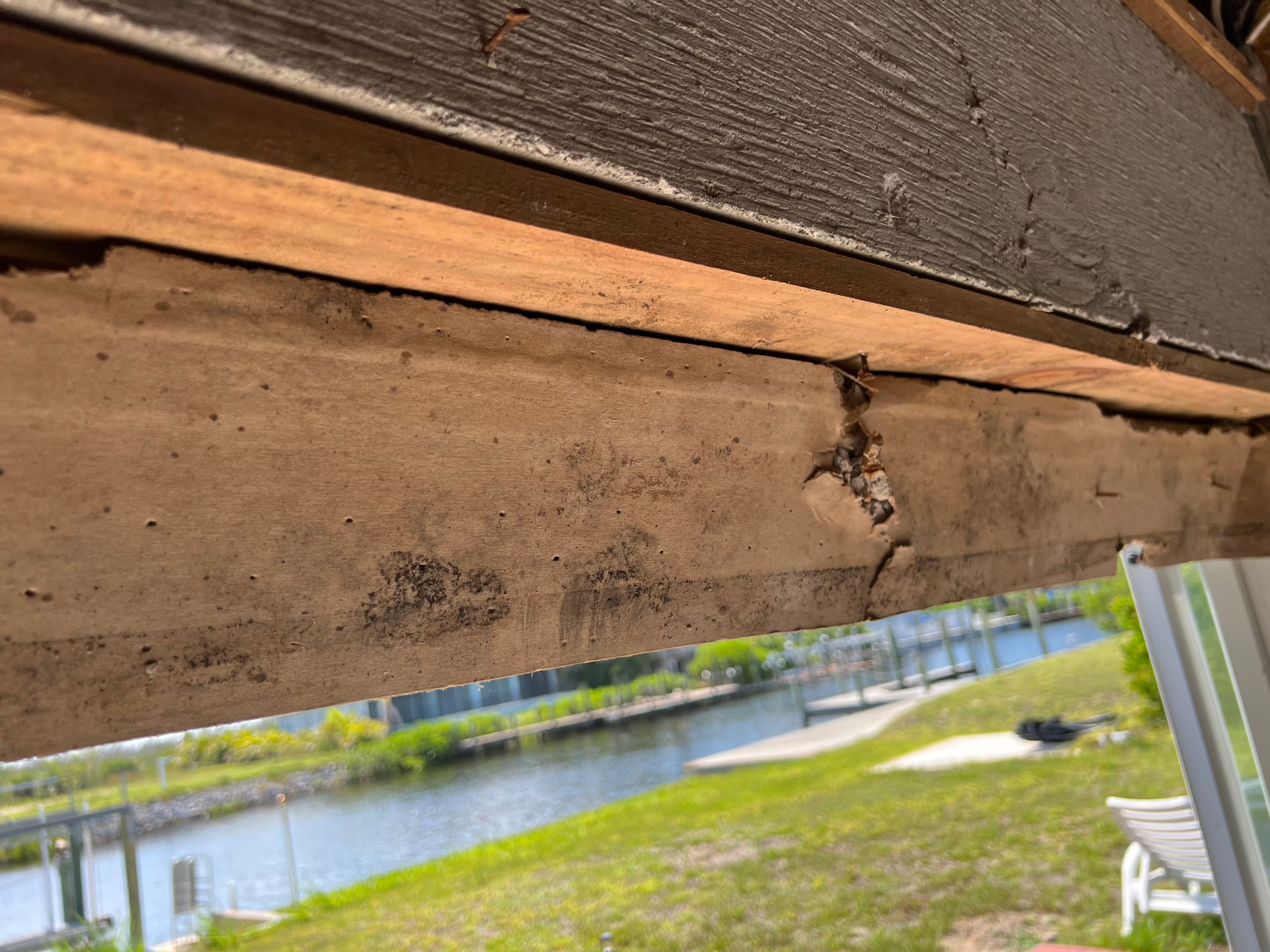  for N&D Restoration Services When Disaster Strikes, We Come In in Cape Coral,  FL