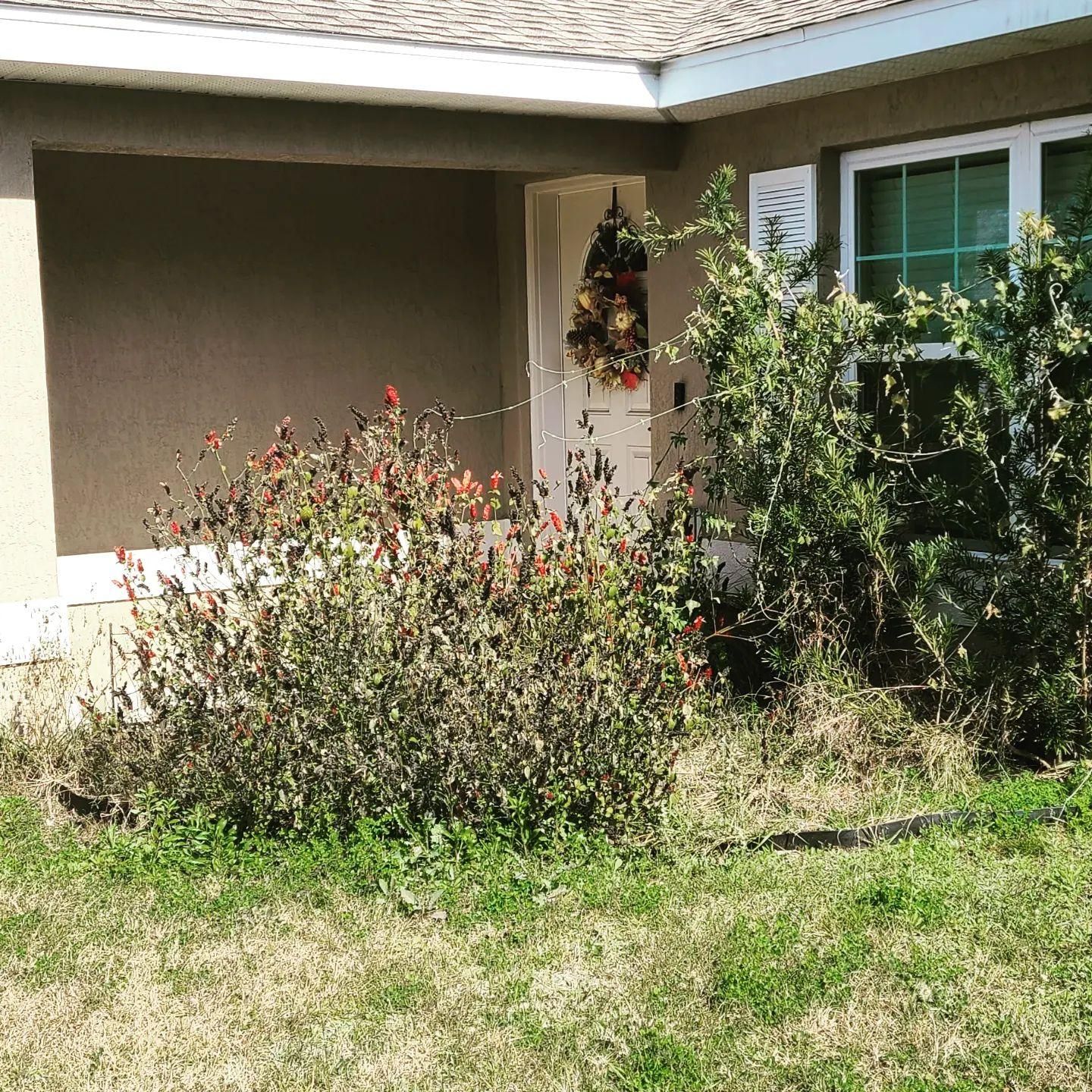  for TopNotch Landscaping Services  in The Villages, FL