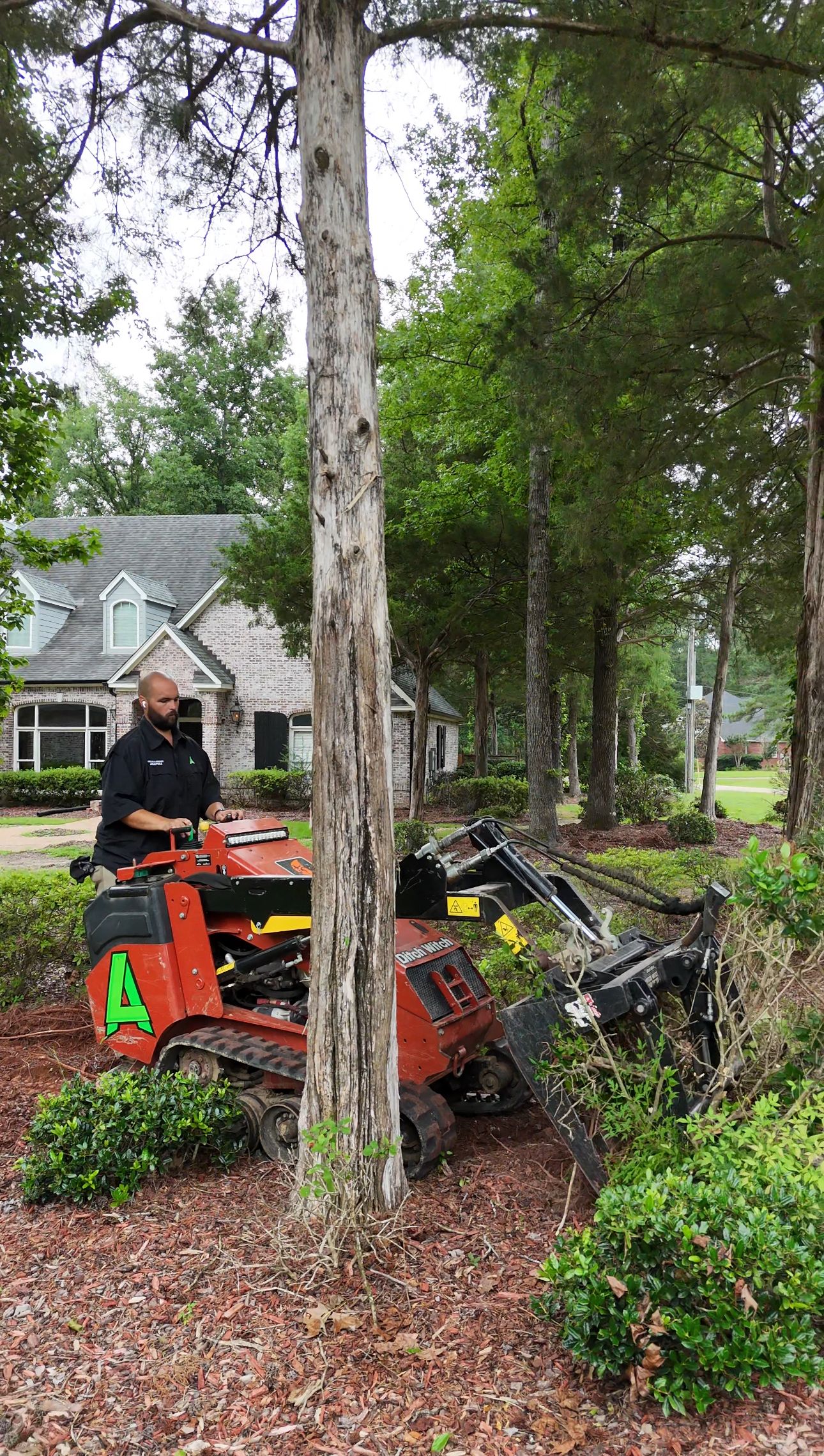  for Amis Lawn and Landscape, LLC in Clinton, MS