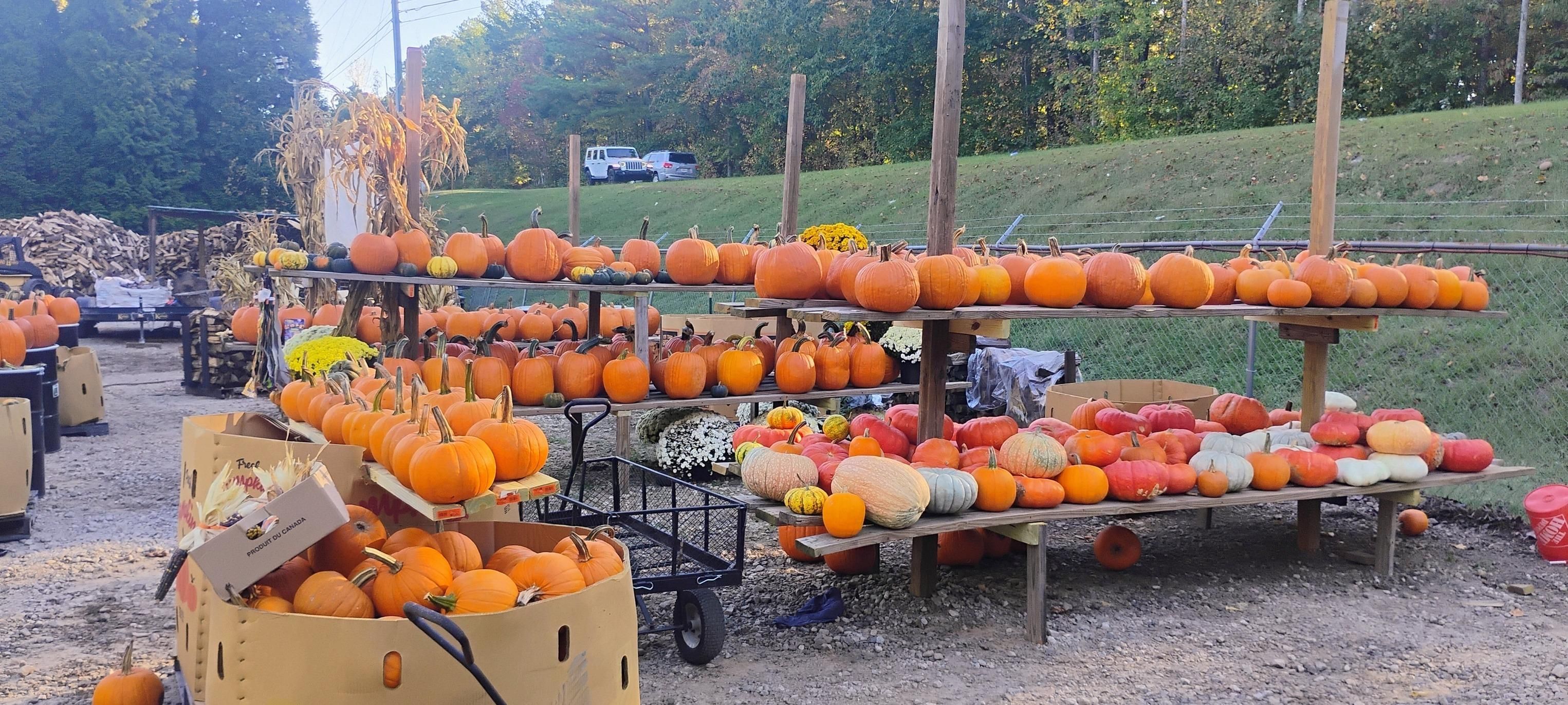  for Rutledge Contracting LLC in Hazel Green, AL