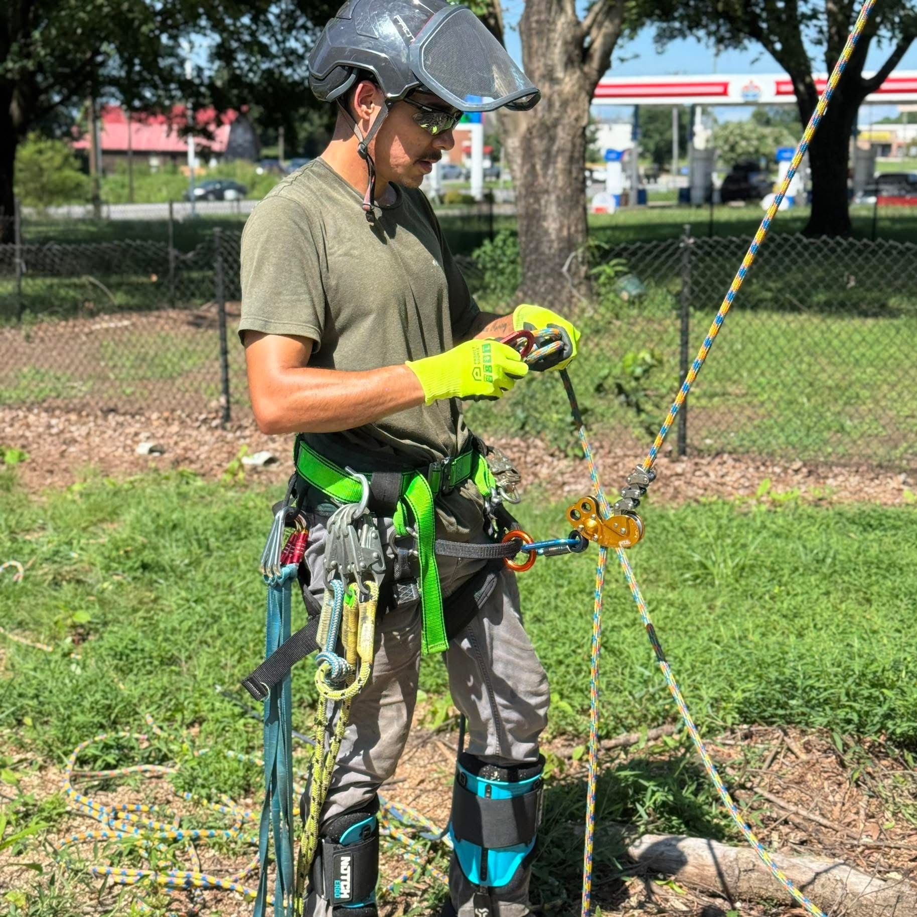 All Photos for Ramirez Tree Care in Elkin, NC