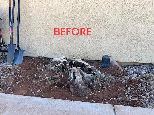 All Photos for A to Z Grounds Keeping in Sierra Vista, AZ