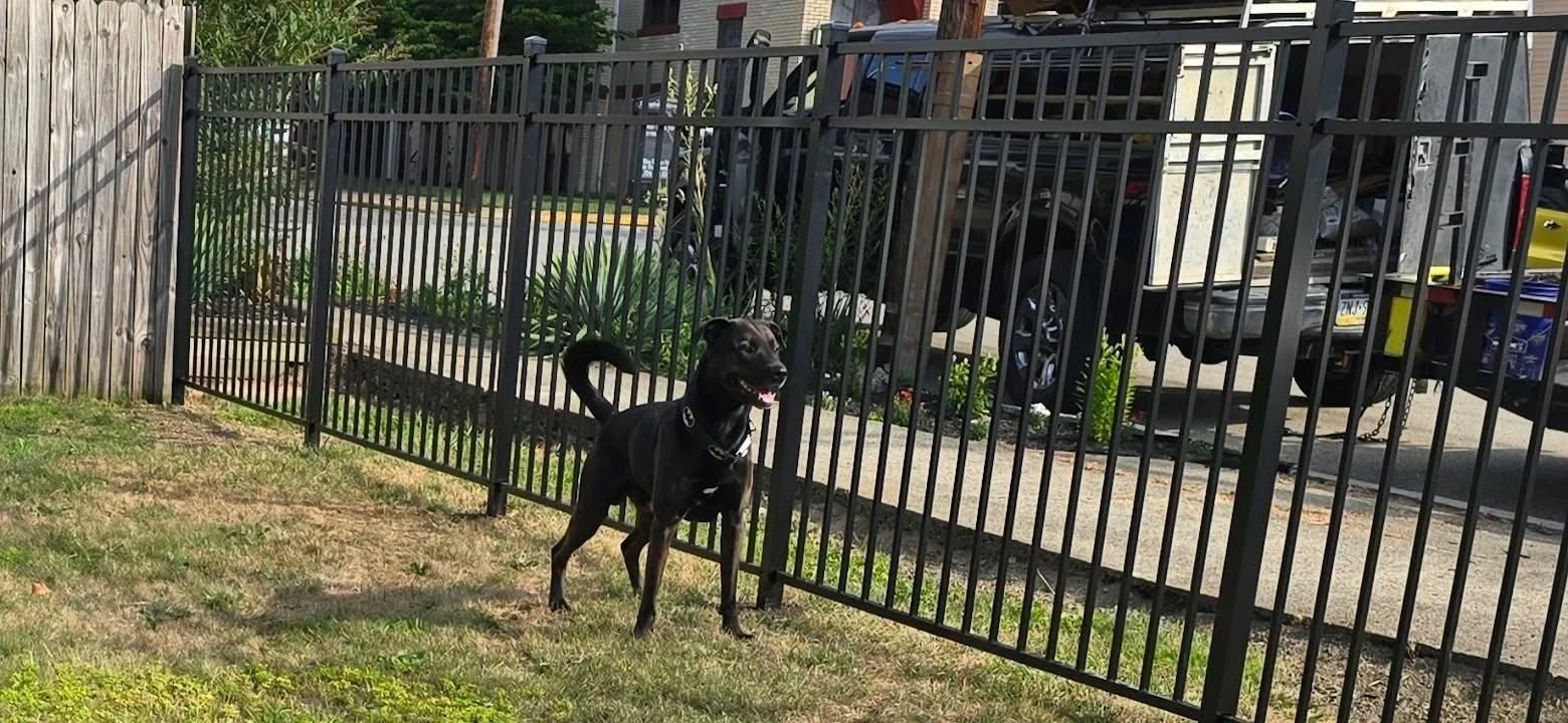 All Photos for Backyard Fence Solutions LLC in Uniontown, PA