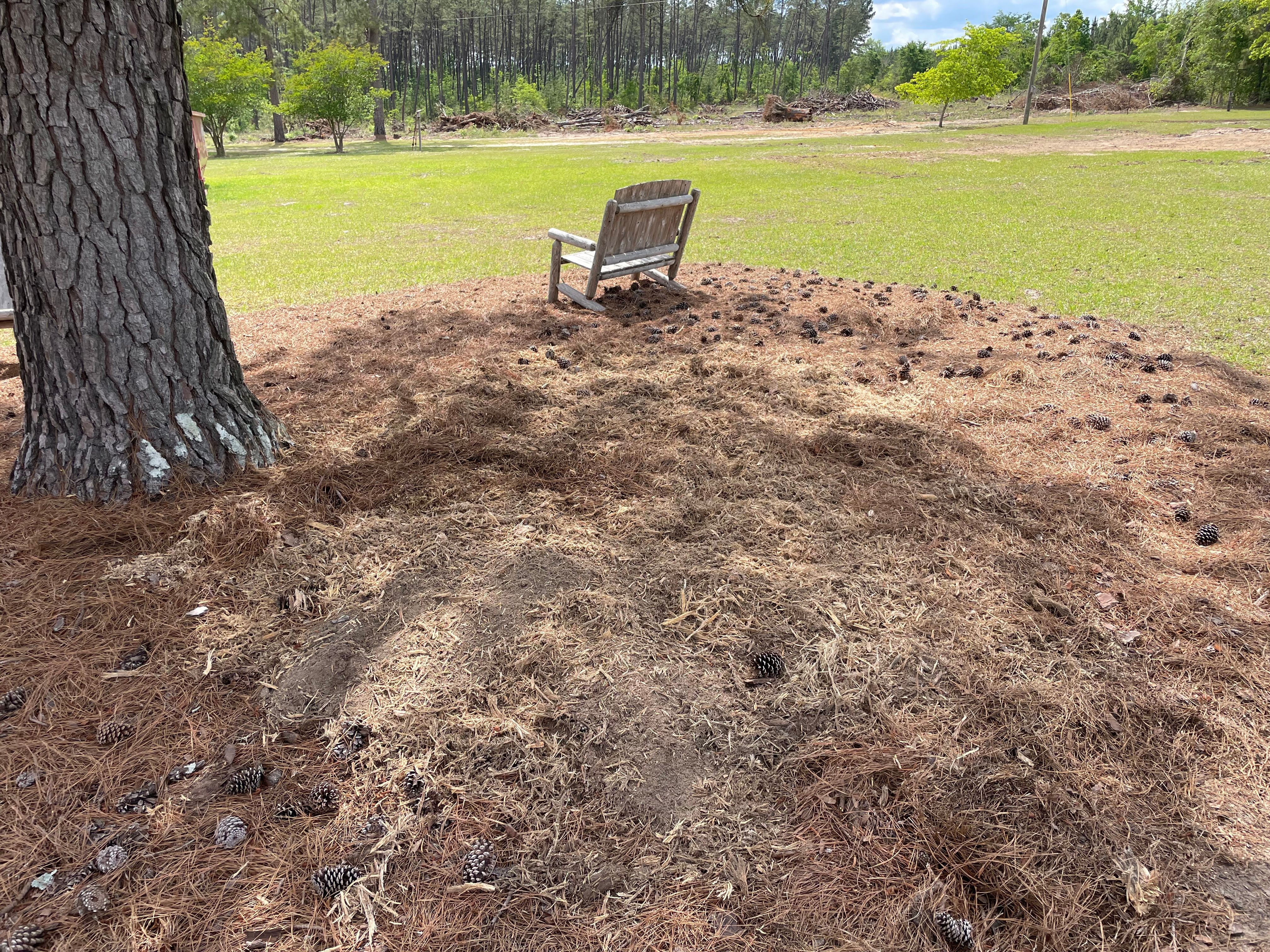 All Photos for MJB’s Stump Grinding LLC in Tennille, GA