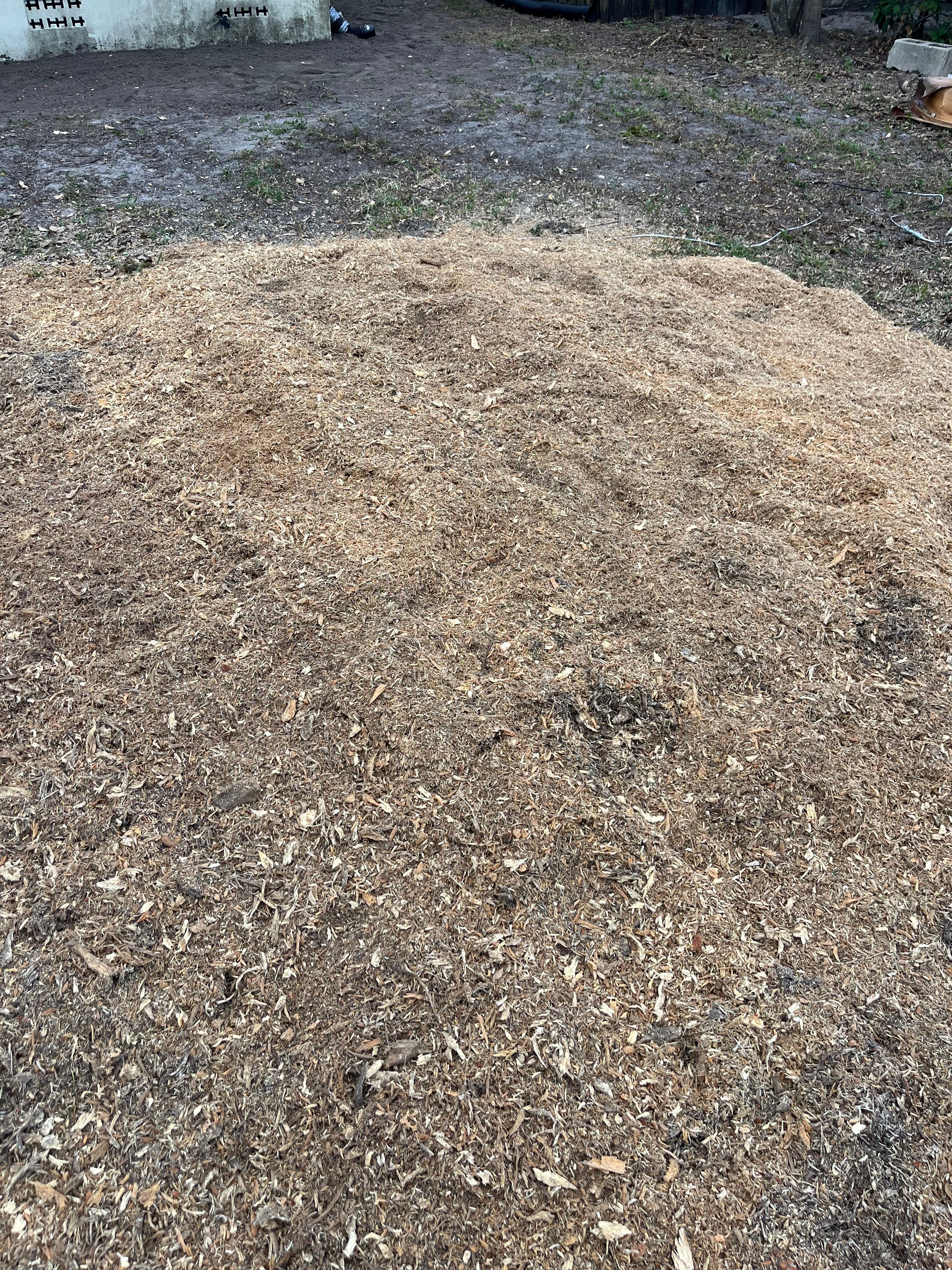  for KB’s Stump Removal in Seminole, FL