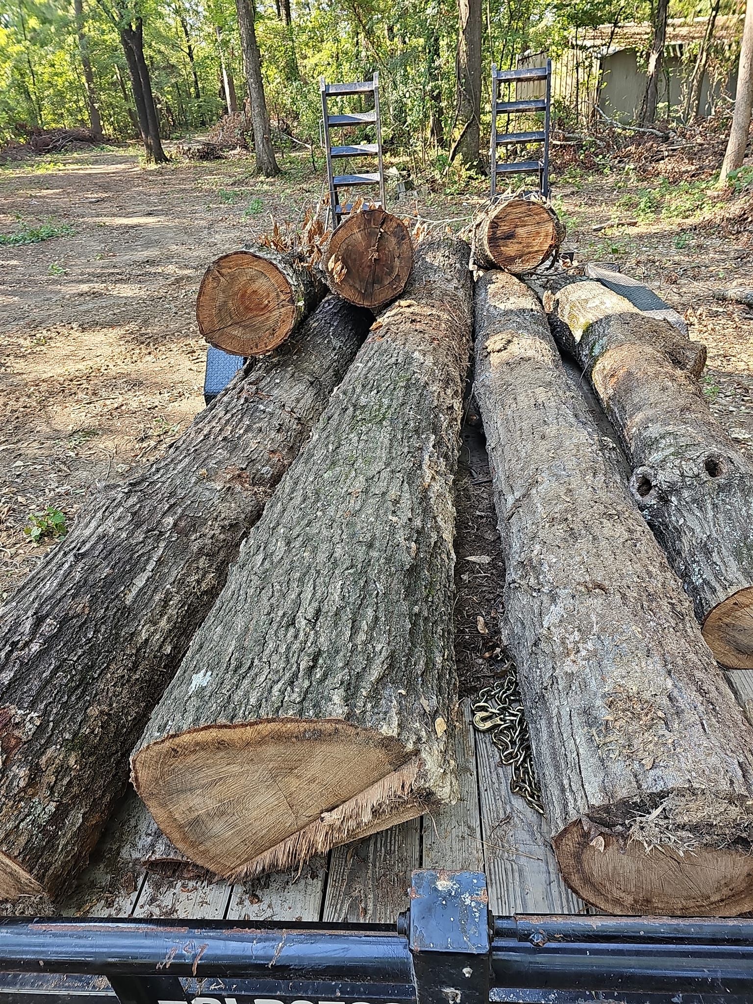  for Millers Tree Service in Saline County, AR