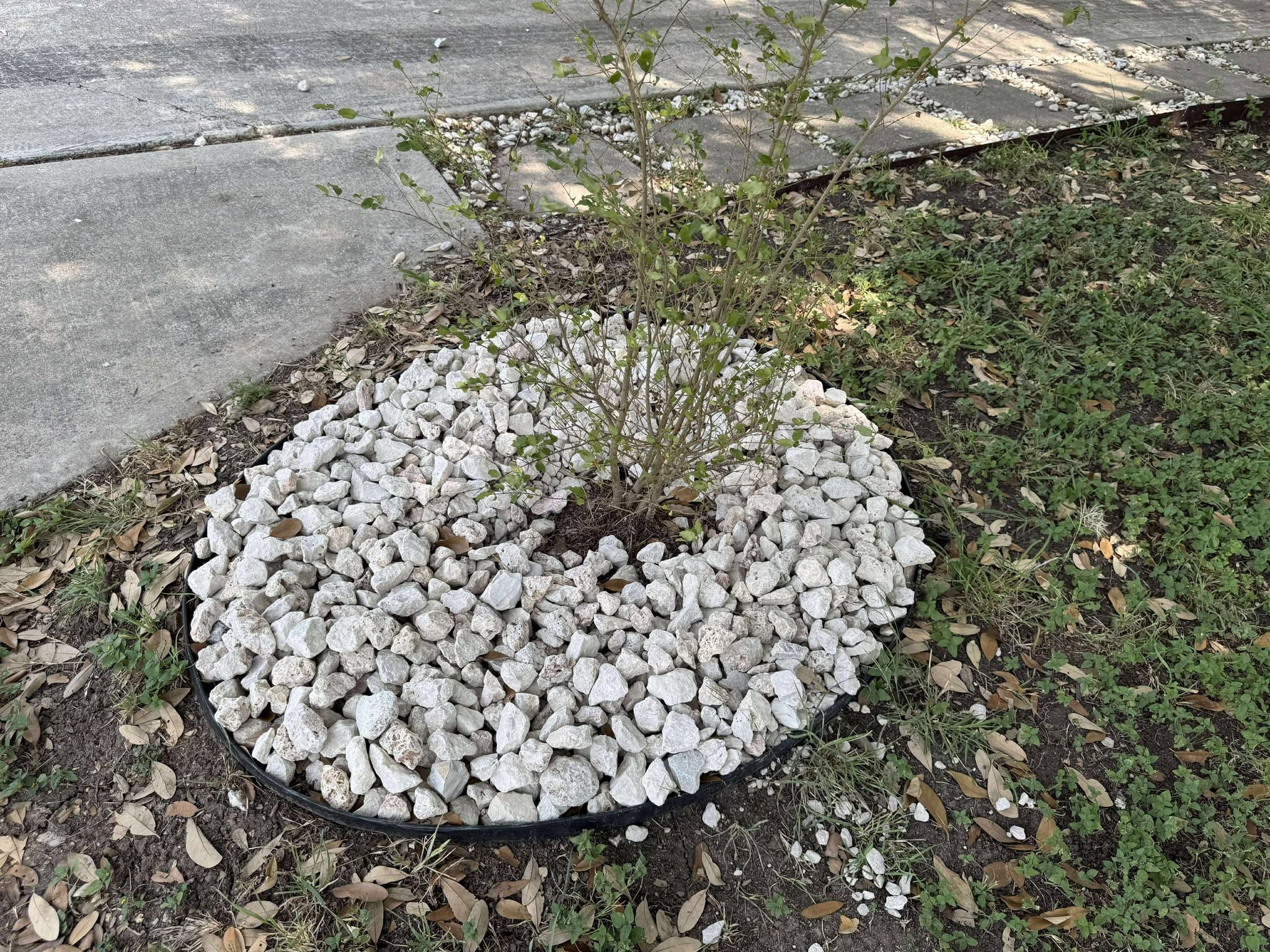All Photos for Fresh Yards Landscaping in Austin, Texas