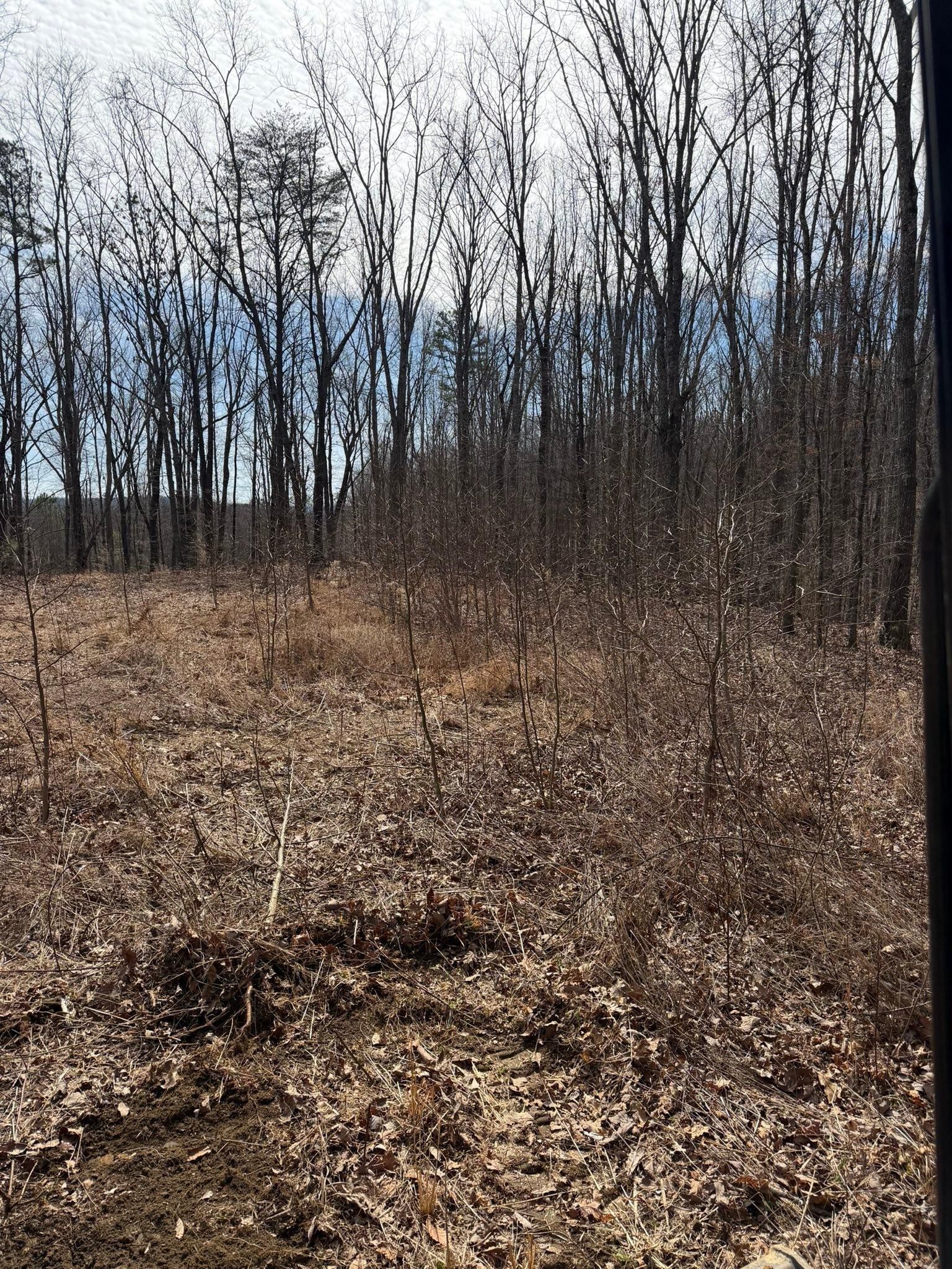  for TD Dirtworks in Tracy City, TN