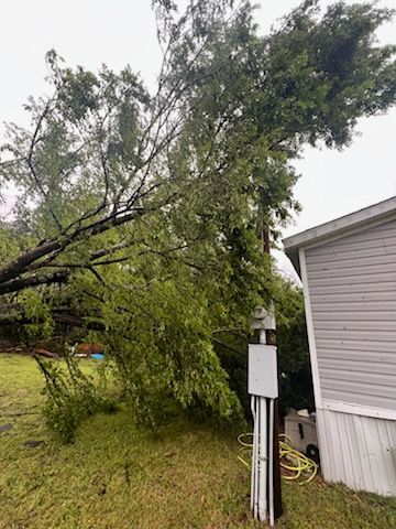  for Absolute Tree Care LLC in Whitney, TX