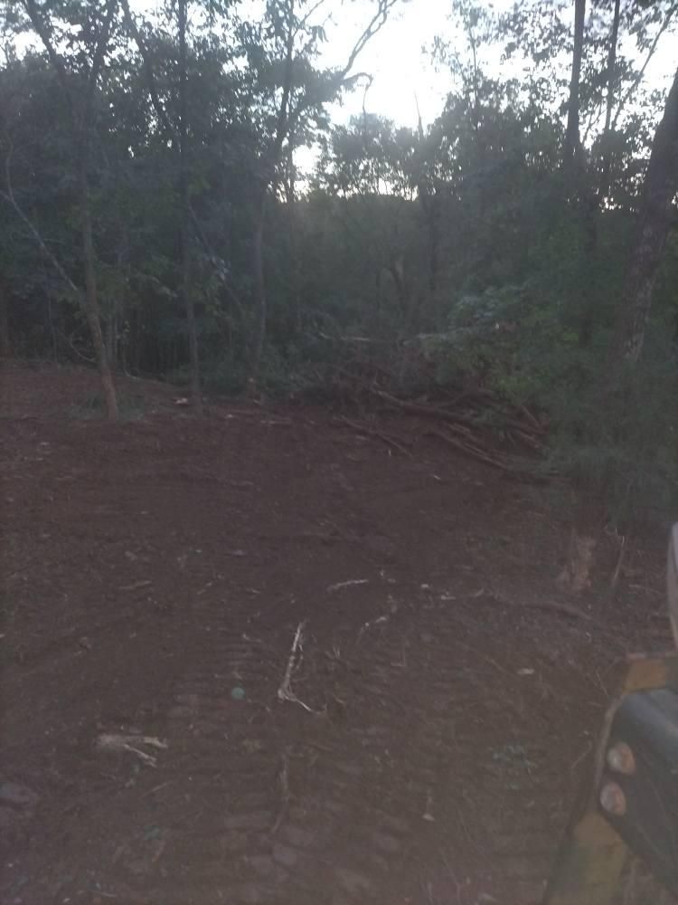 All Photos for King of Dirt in Cornersville, TN