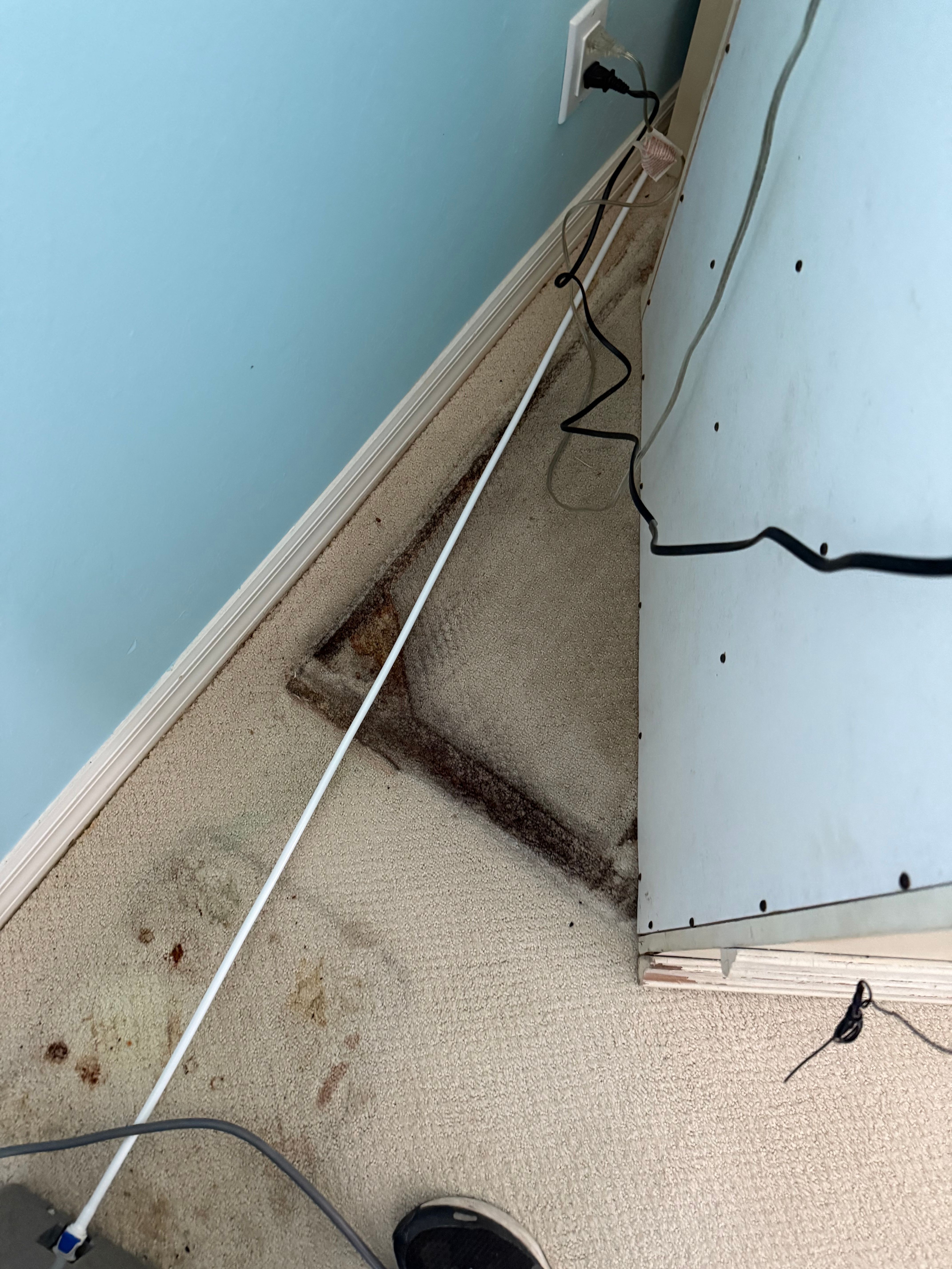  for N&D Restoration Services When Disaster Strikes, We Come In in Cape Coral,  FL