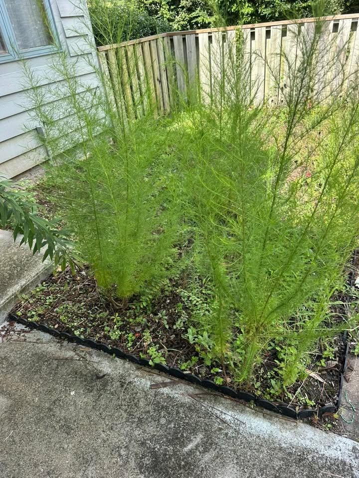 All Photos for Carolina Odd Jobs Inc. in Sneads Ferry, NC