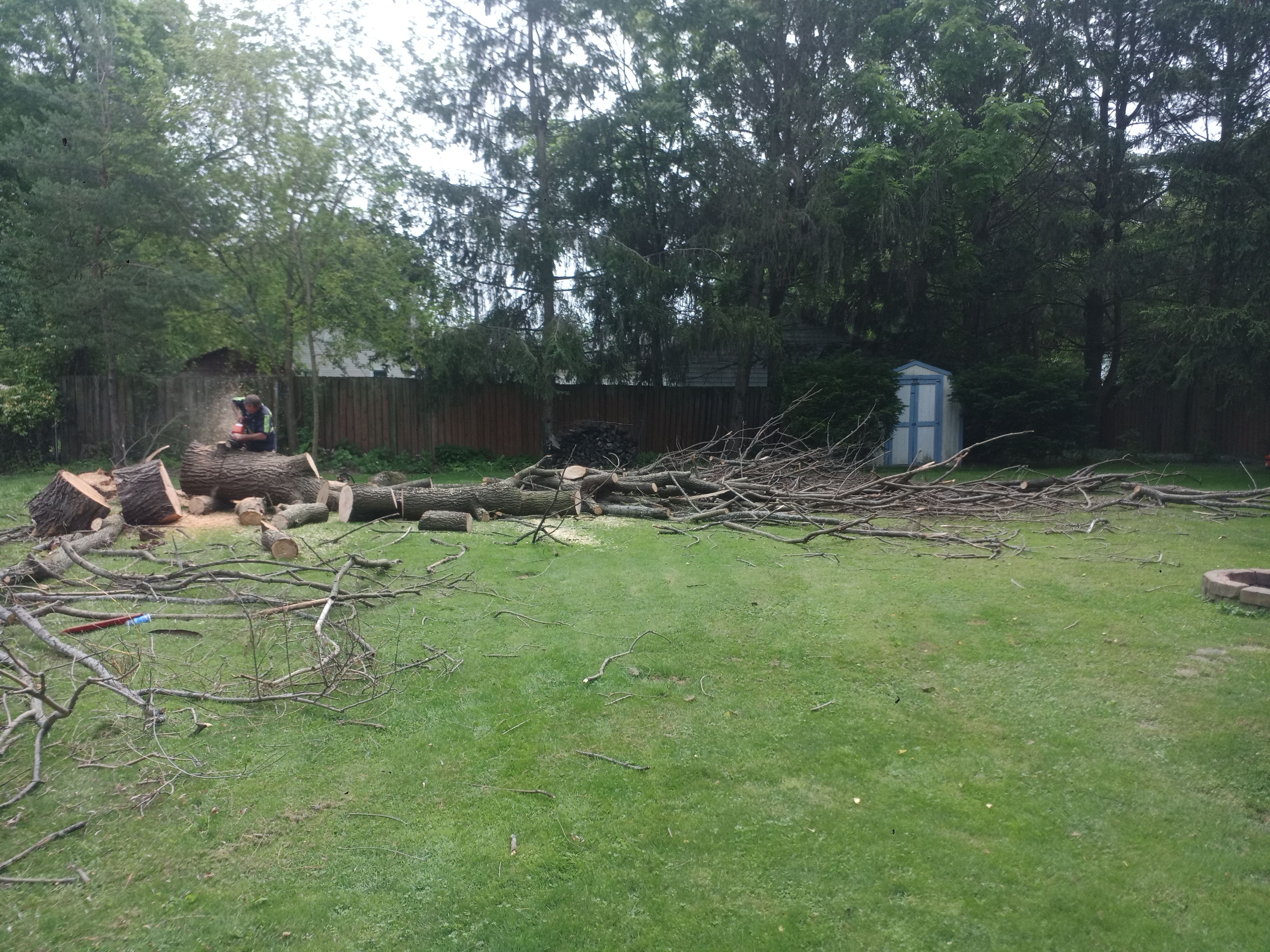 All Photos for Hendricks Mowing in Amherst, OH