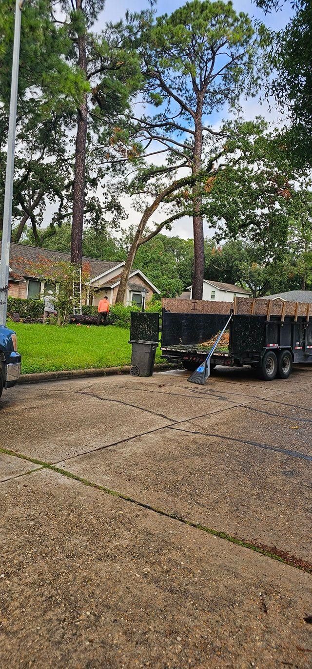  for Servin's Tree Care  in Houston, TX