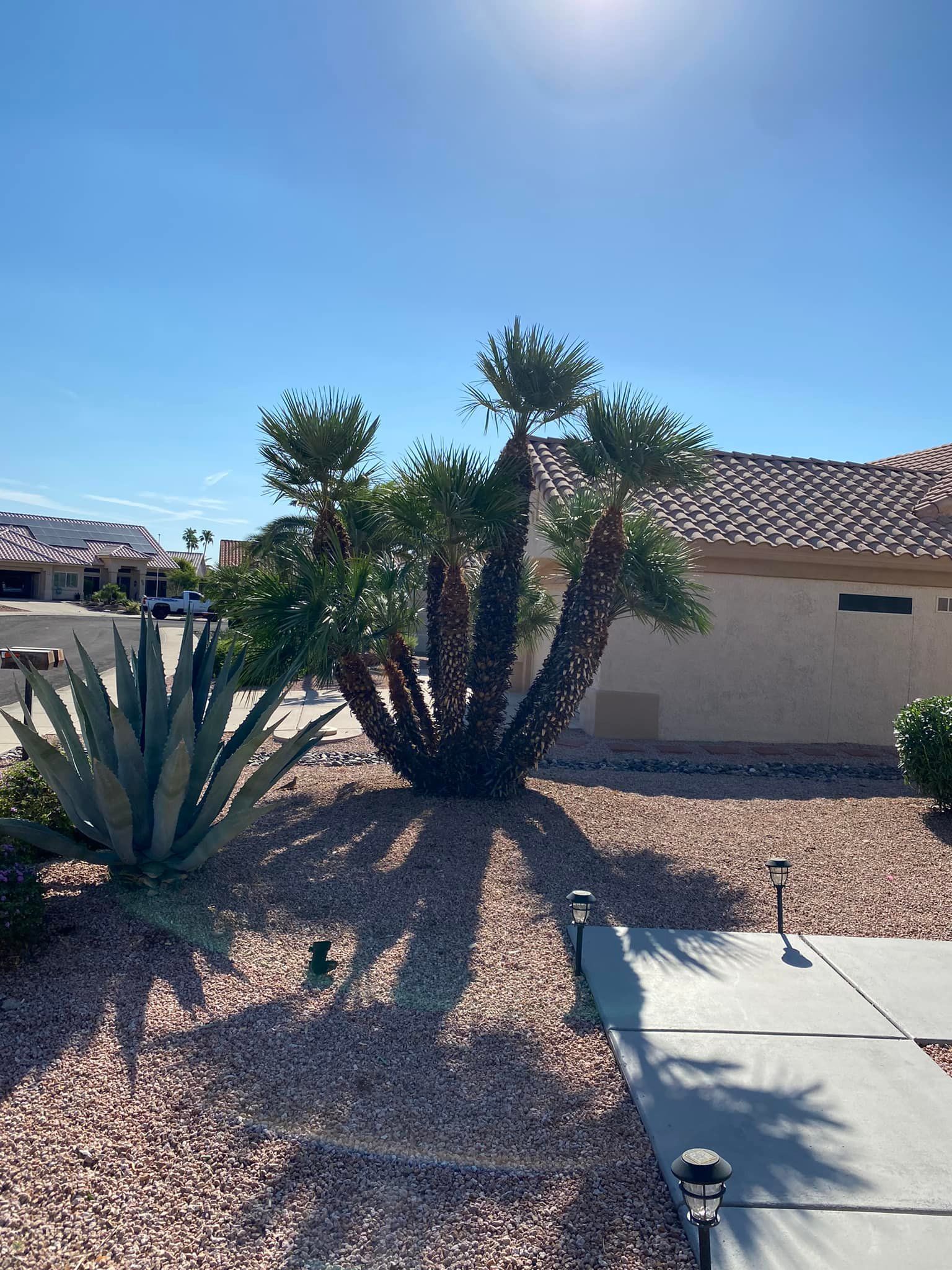  for Ramirez Landscaping in El Mirage, AZ