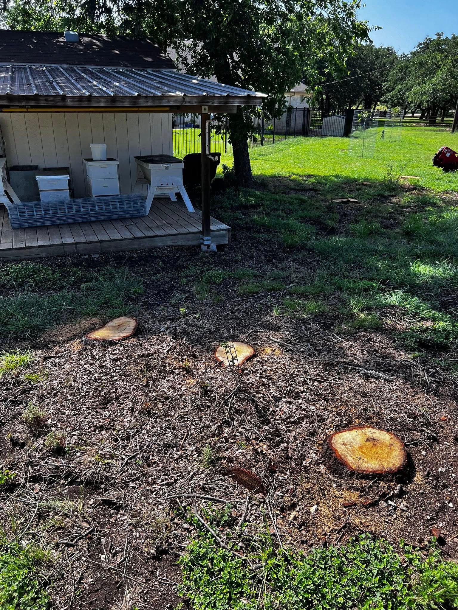 All Photos for Oakley’s Stump ‘N Grind in Leander, TX